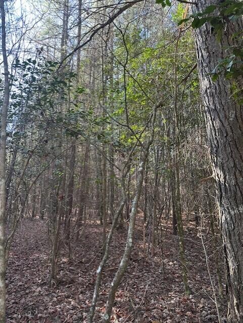 6 50th Avenue Gruetli Laager TN 37339