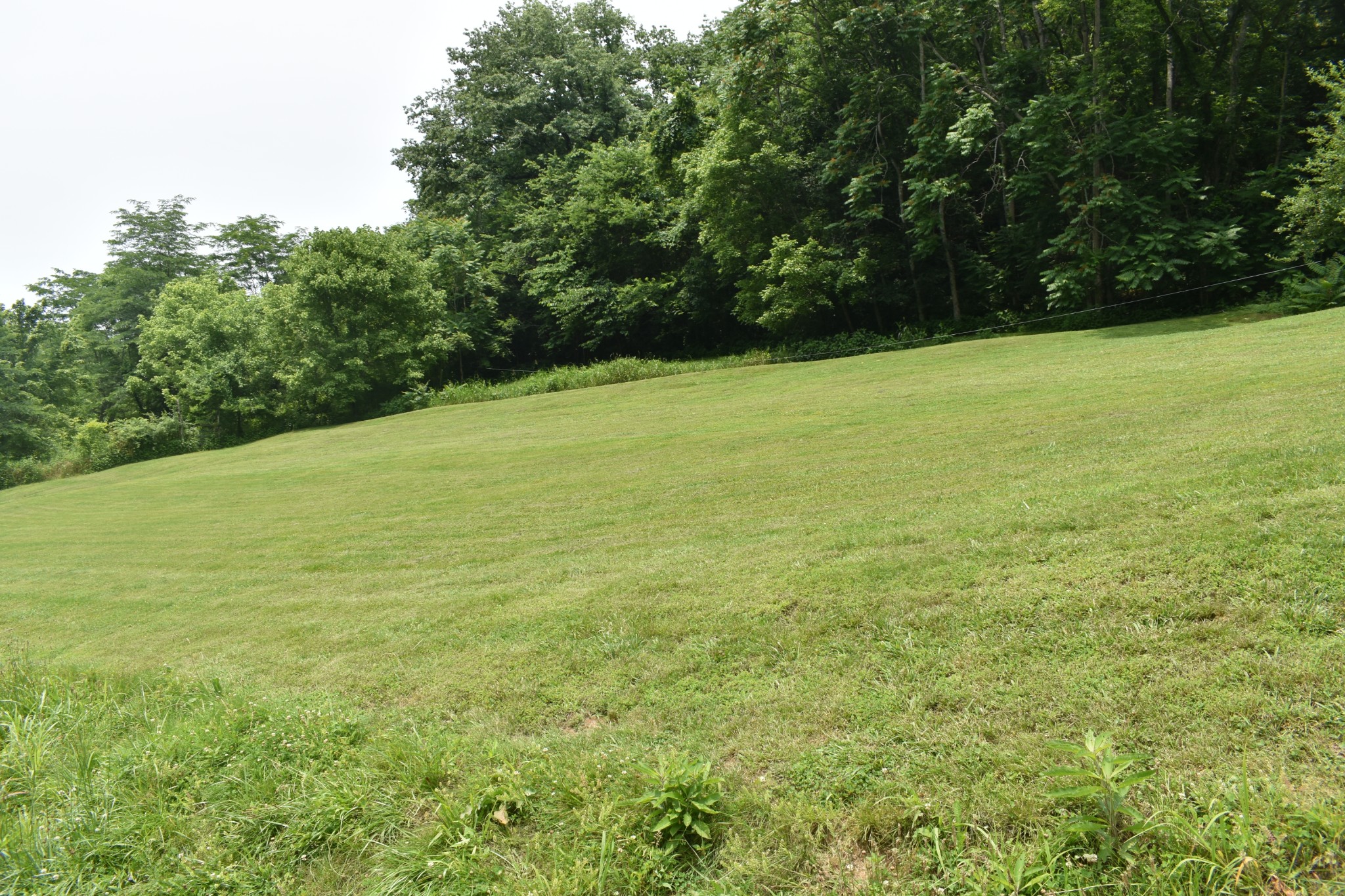 33 Nascar Lane Pleasant Shade TN 37145