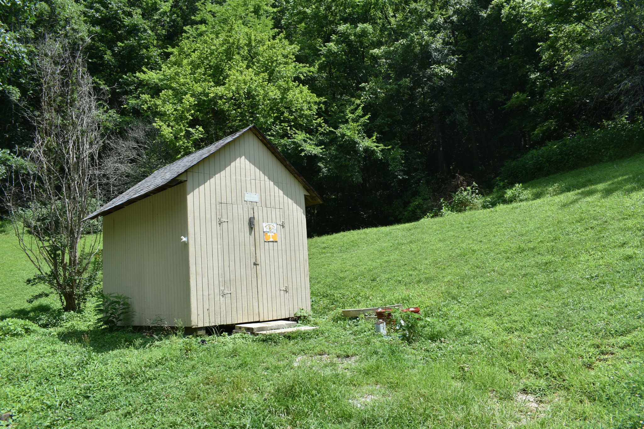 33 Nascar Lane Pleasant Shade TN 37145