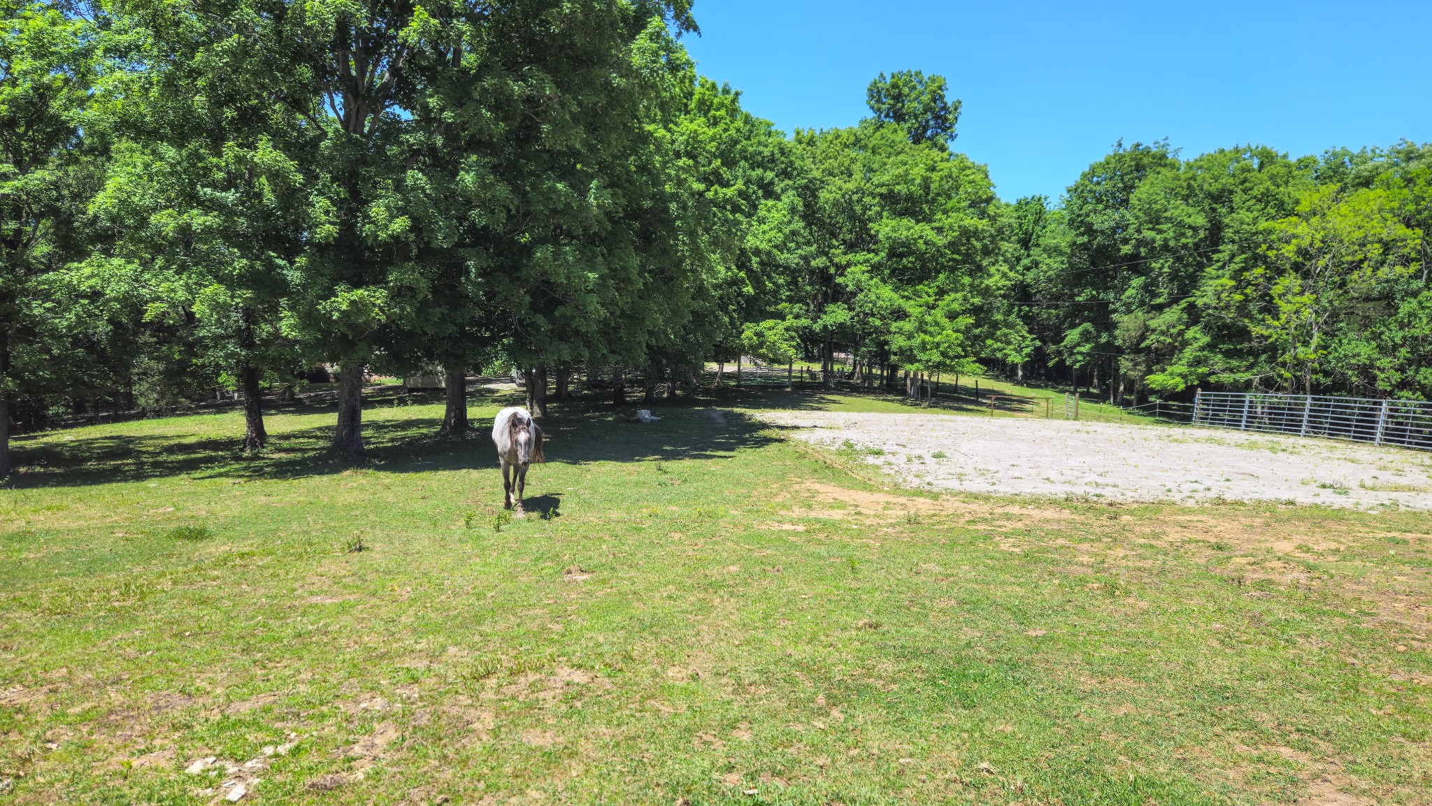 789 Holt Hollow Road Prospect TN 38477