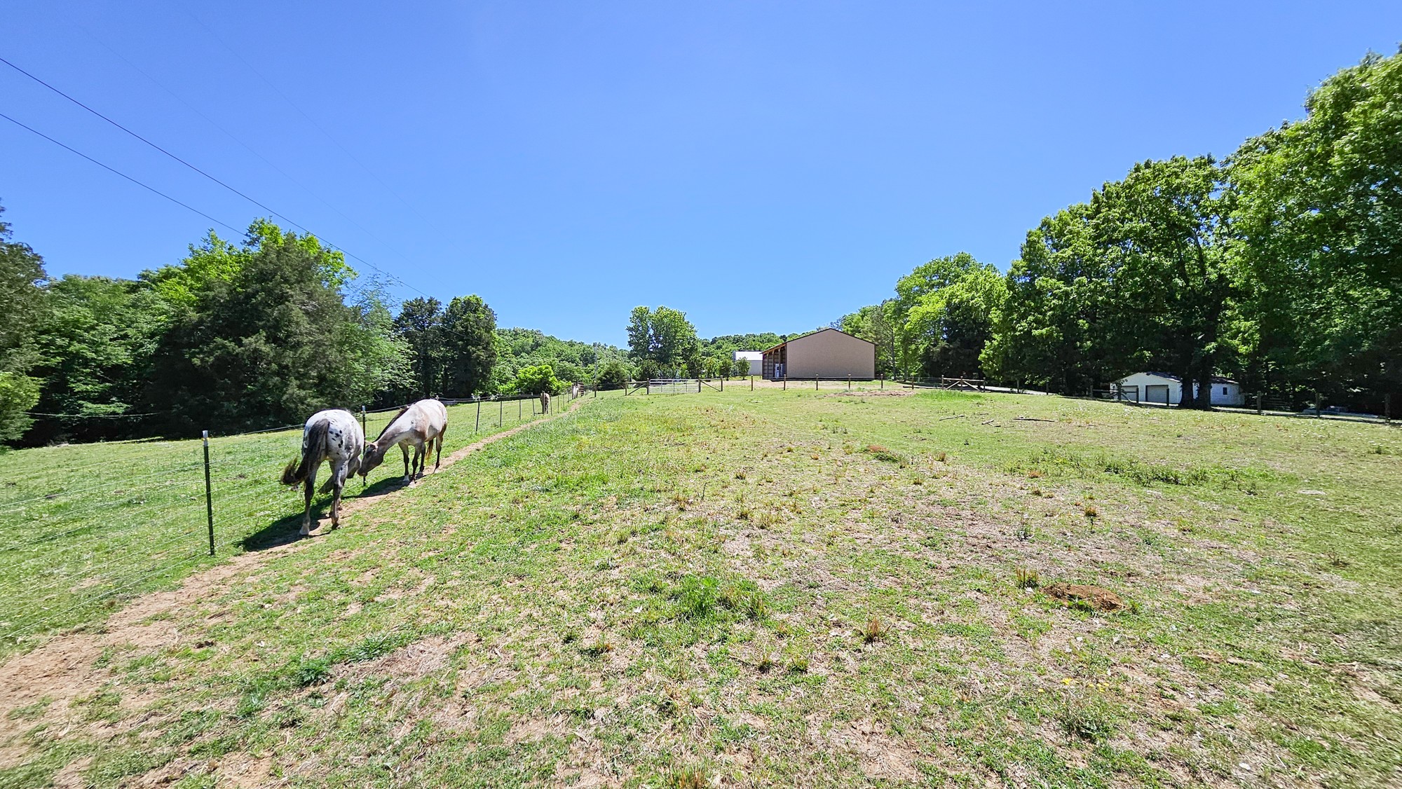 789 Holt Hollow Road Prospect TN 38477