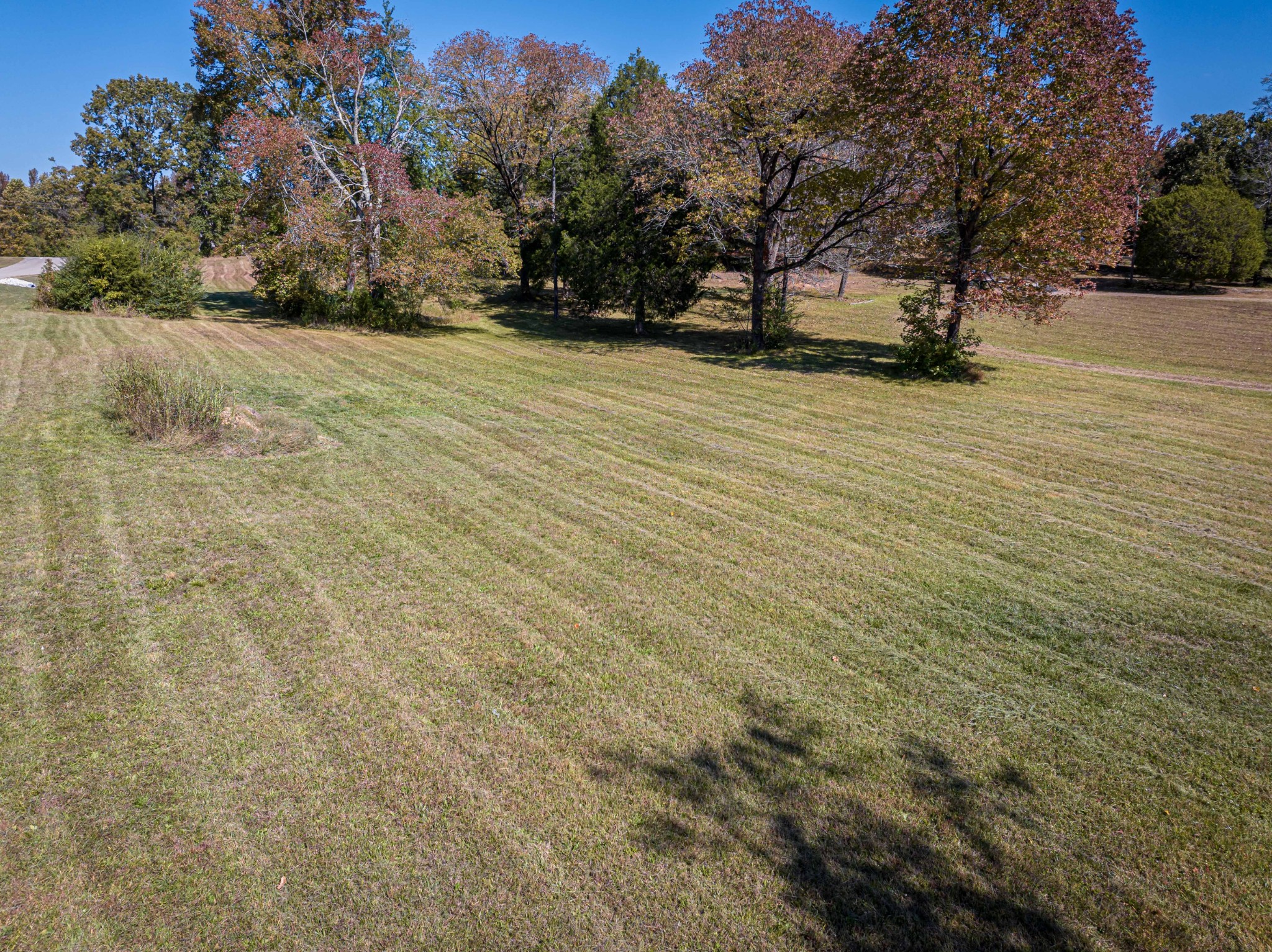 1084 W Main Street Parsons TN 38363