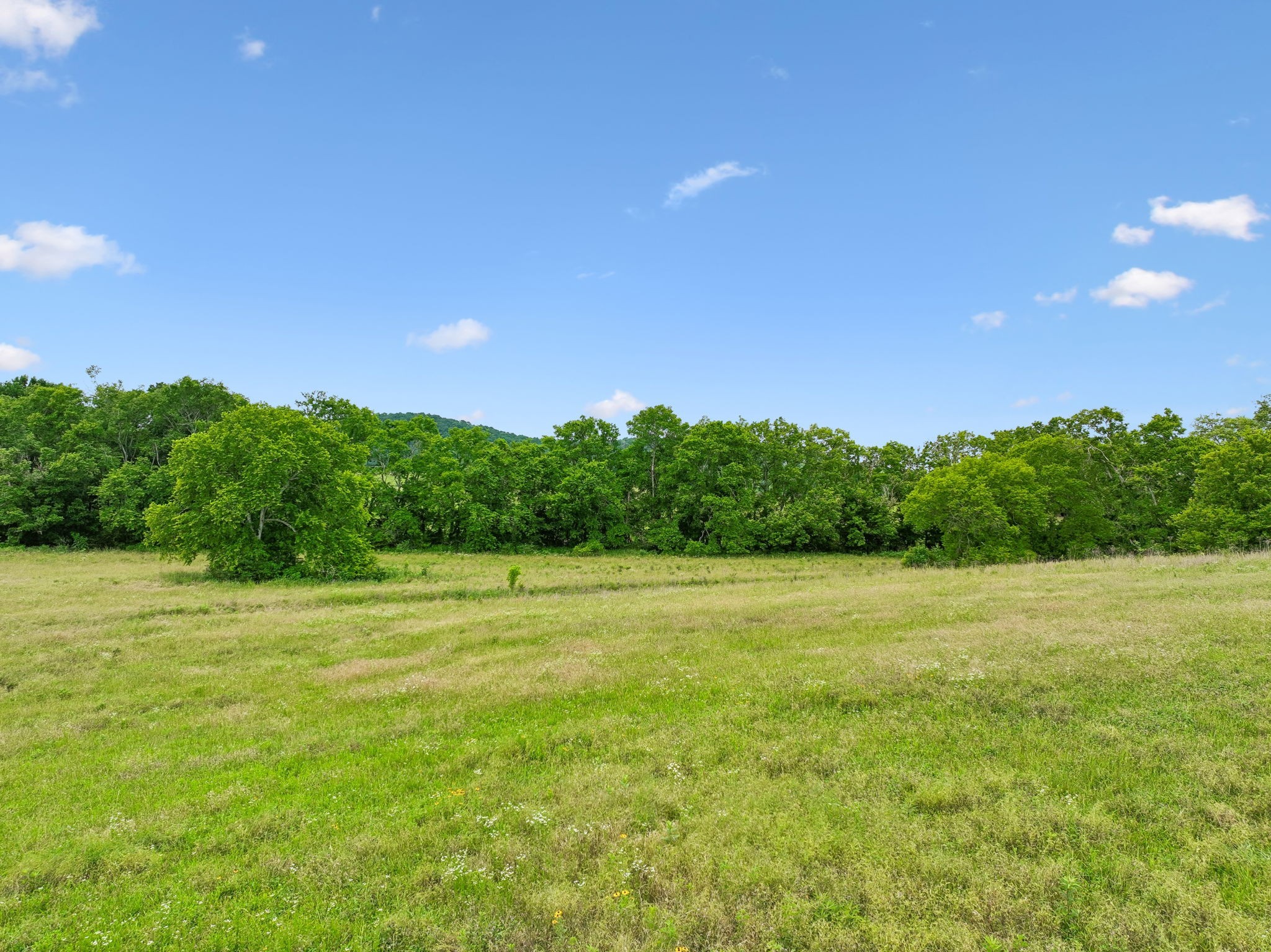 20 Riverbend Lane Carthage TN 37030
