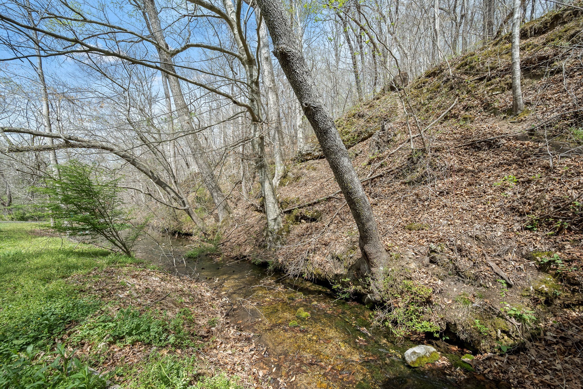 2708 Ledford Mill Road Wartrace TN 37183