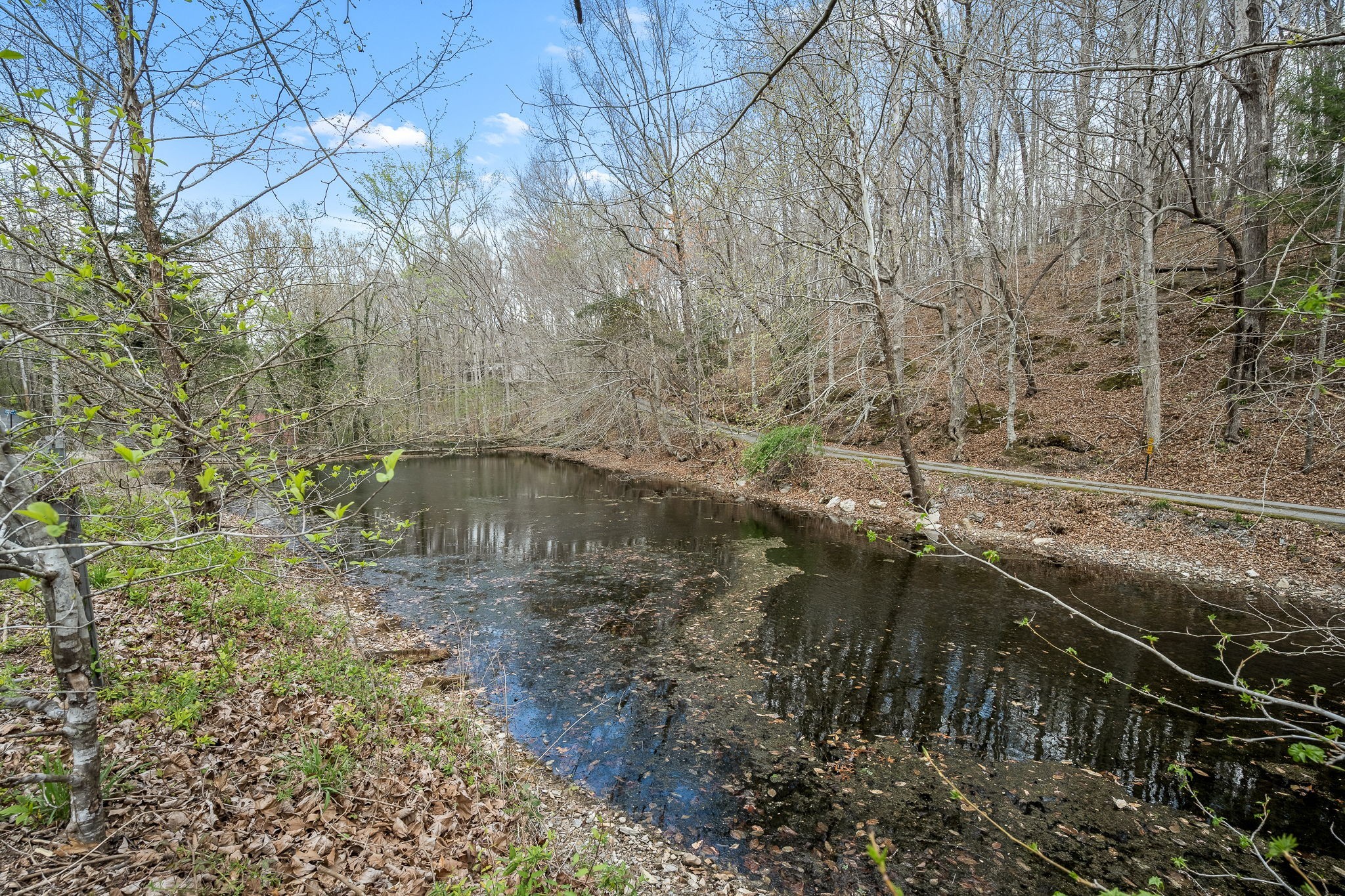 2708 Ledford Mill Road Wartrace TN 37183