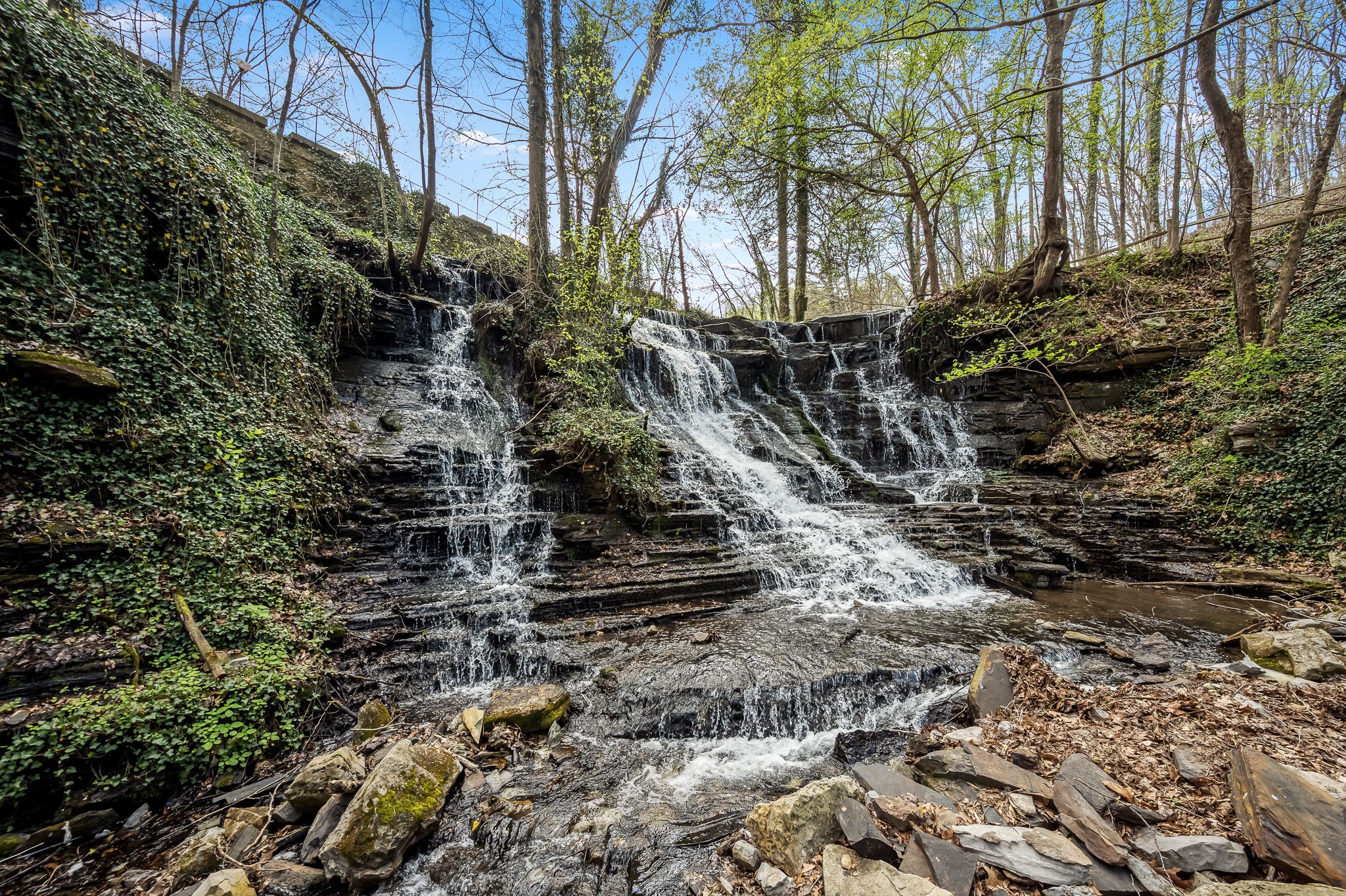 2708 Ledford Mill Road Wartrace TN 37183