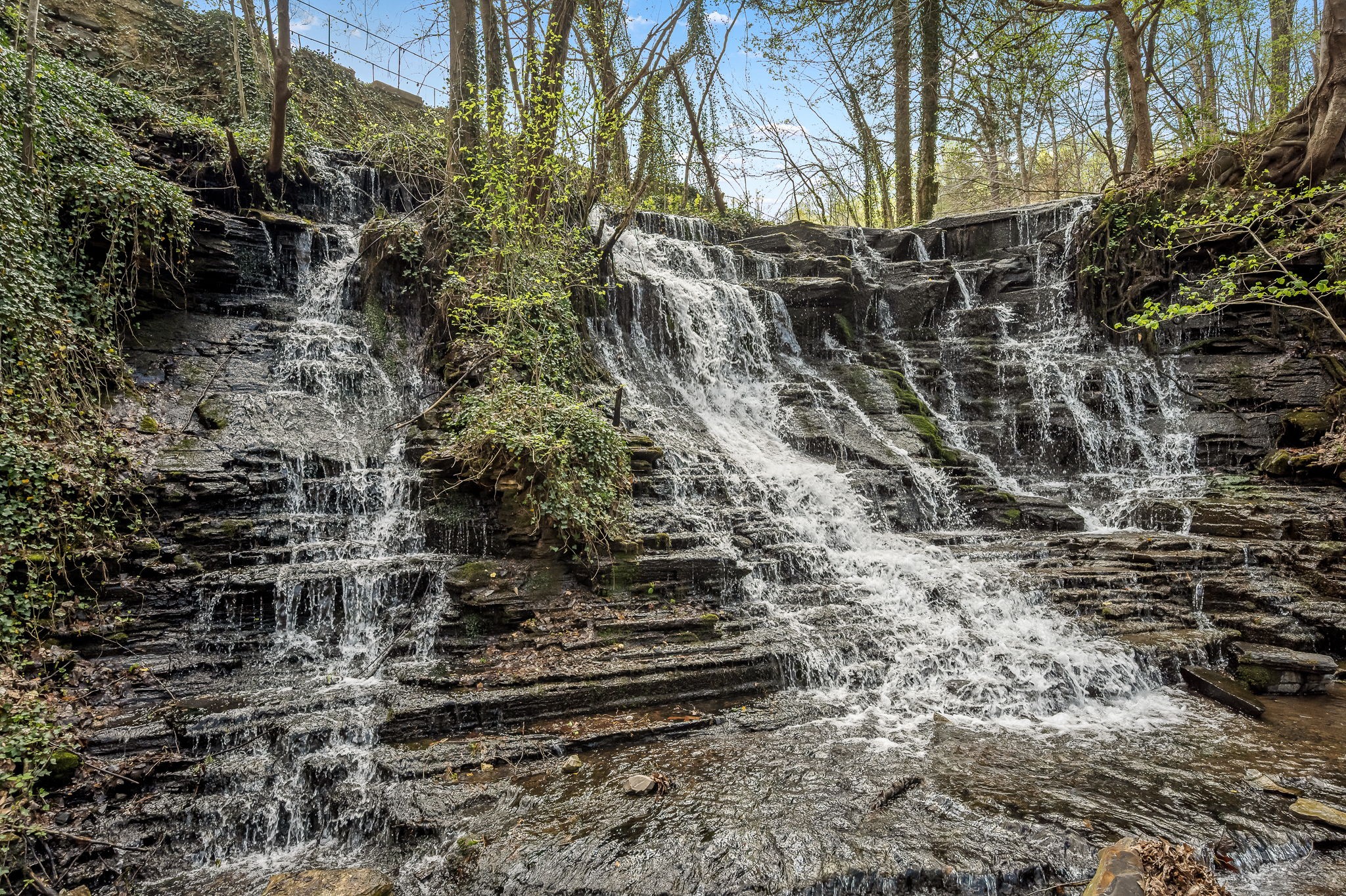 2708 Ledford Mill Road Wartrace TN 37183