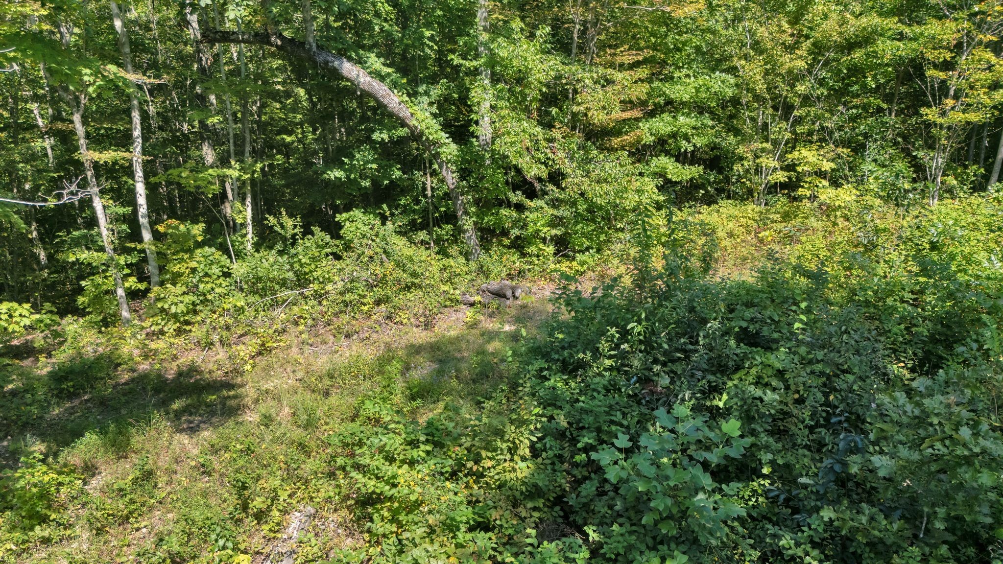 0 Wet Mill Creek Road Celina TN 38551