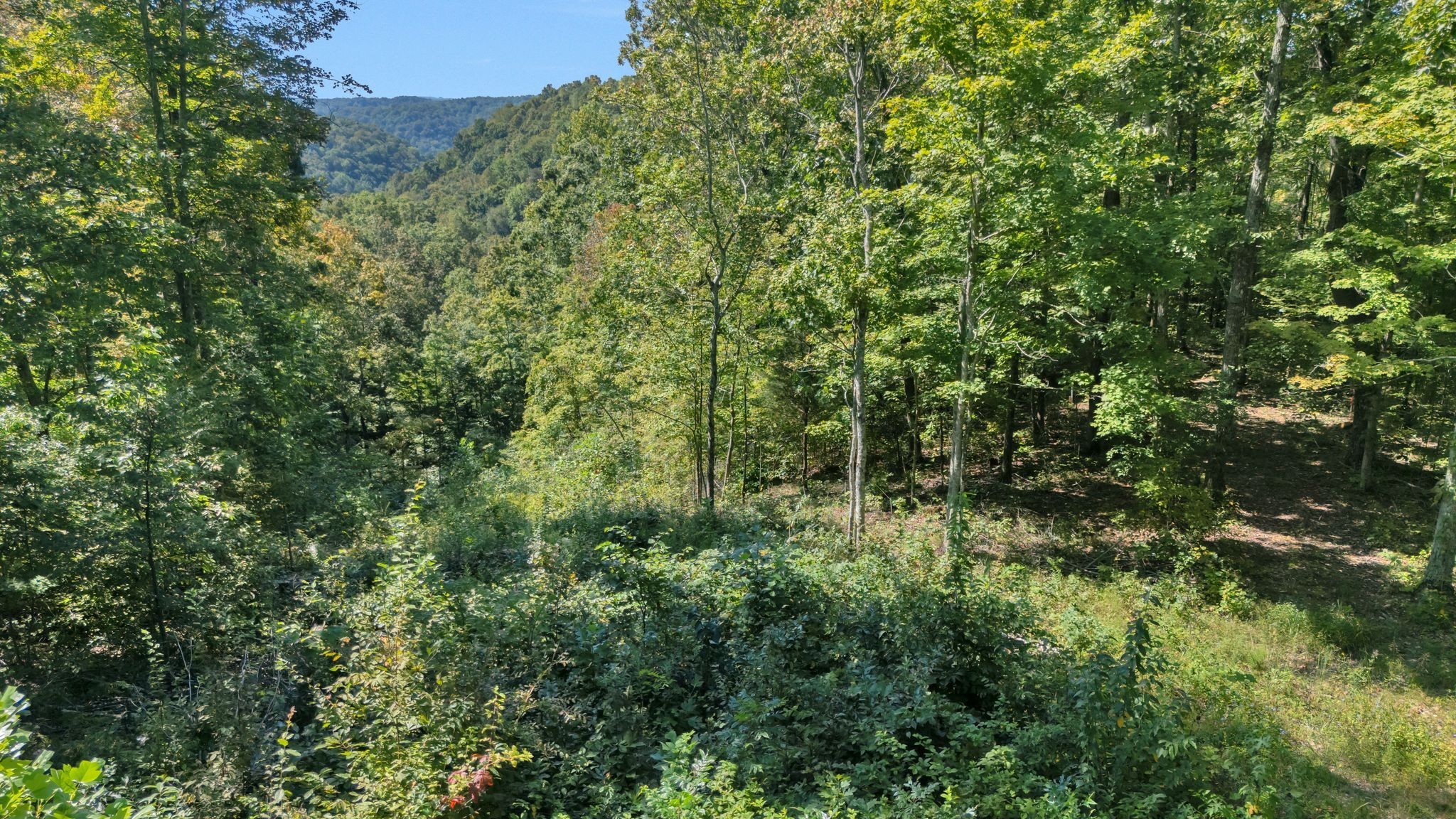 0 Wet Mill Creek Road Celina TN 38551