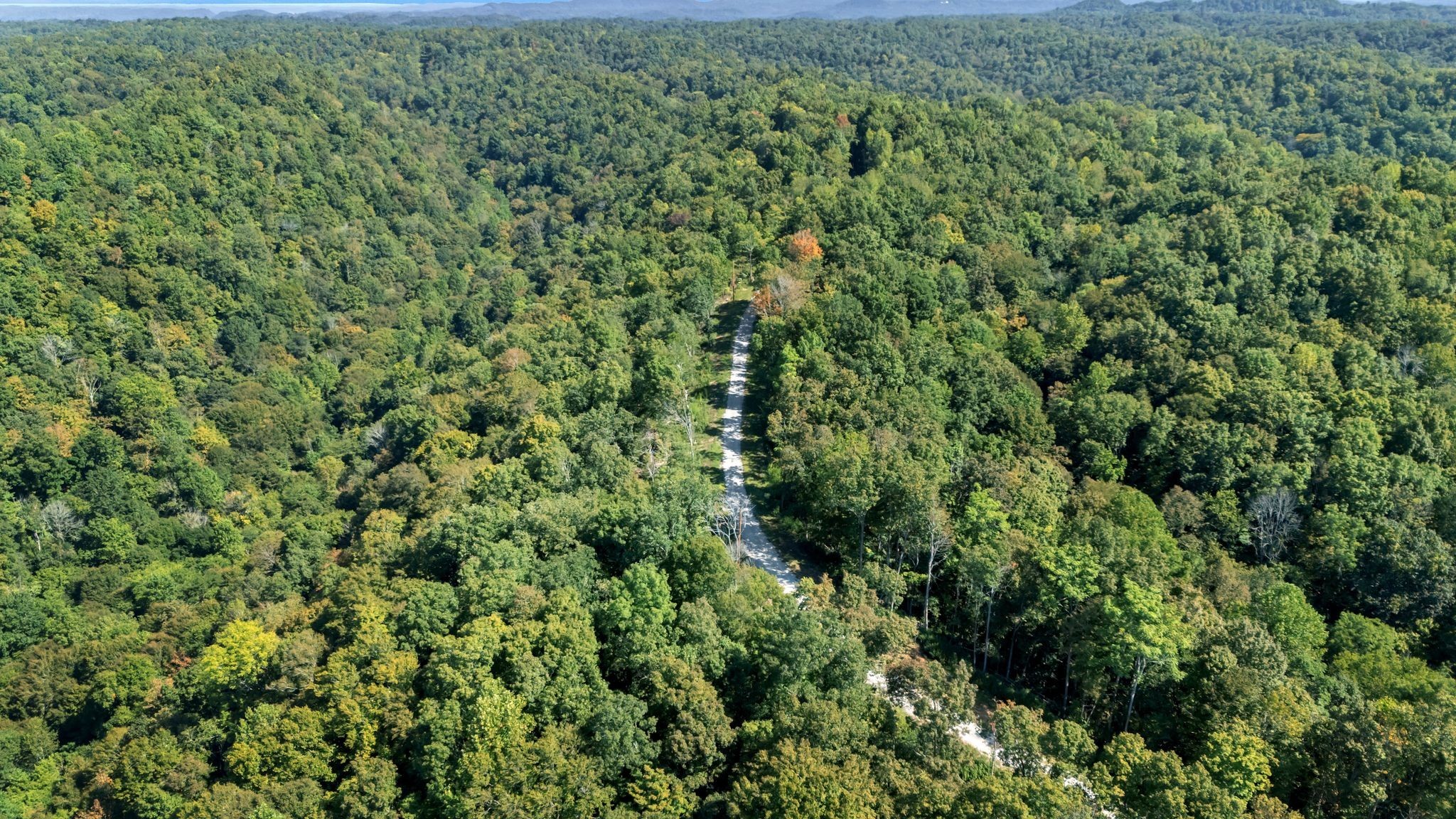 0 Wet Mill Creek Road Celina TN 38551