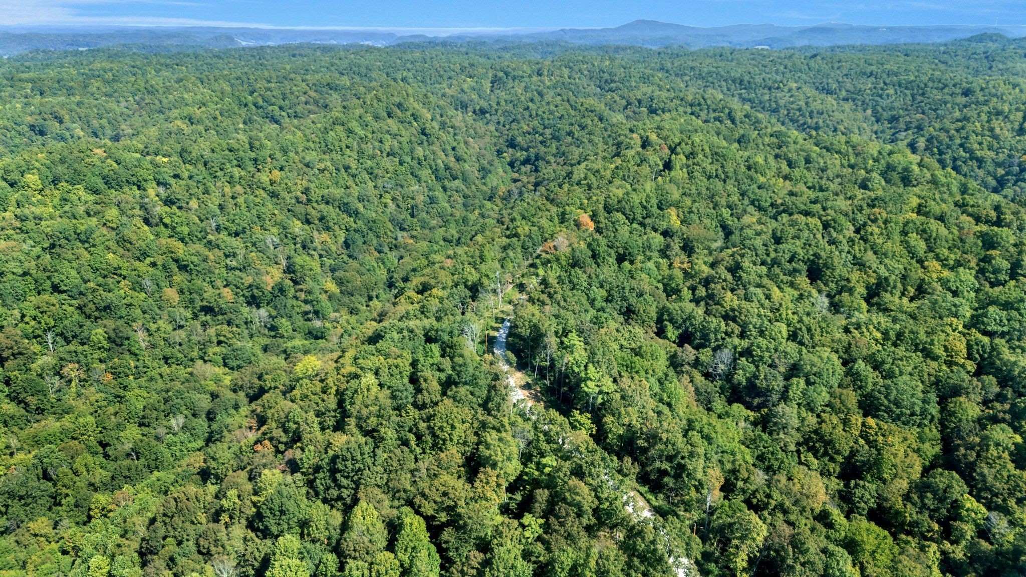 0 Wet Mill Creek Road Celina TN 38551