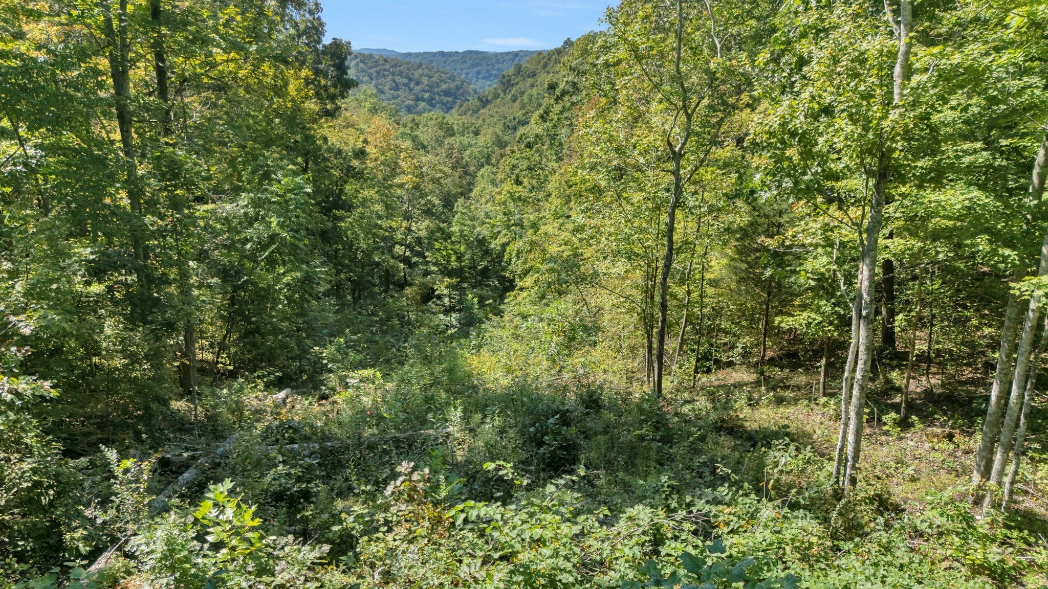 0 Wet Mill Creek Road Celina TN 38551