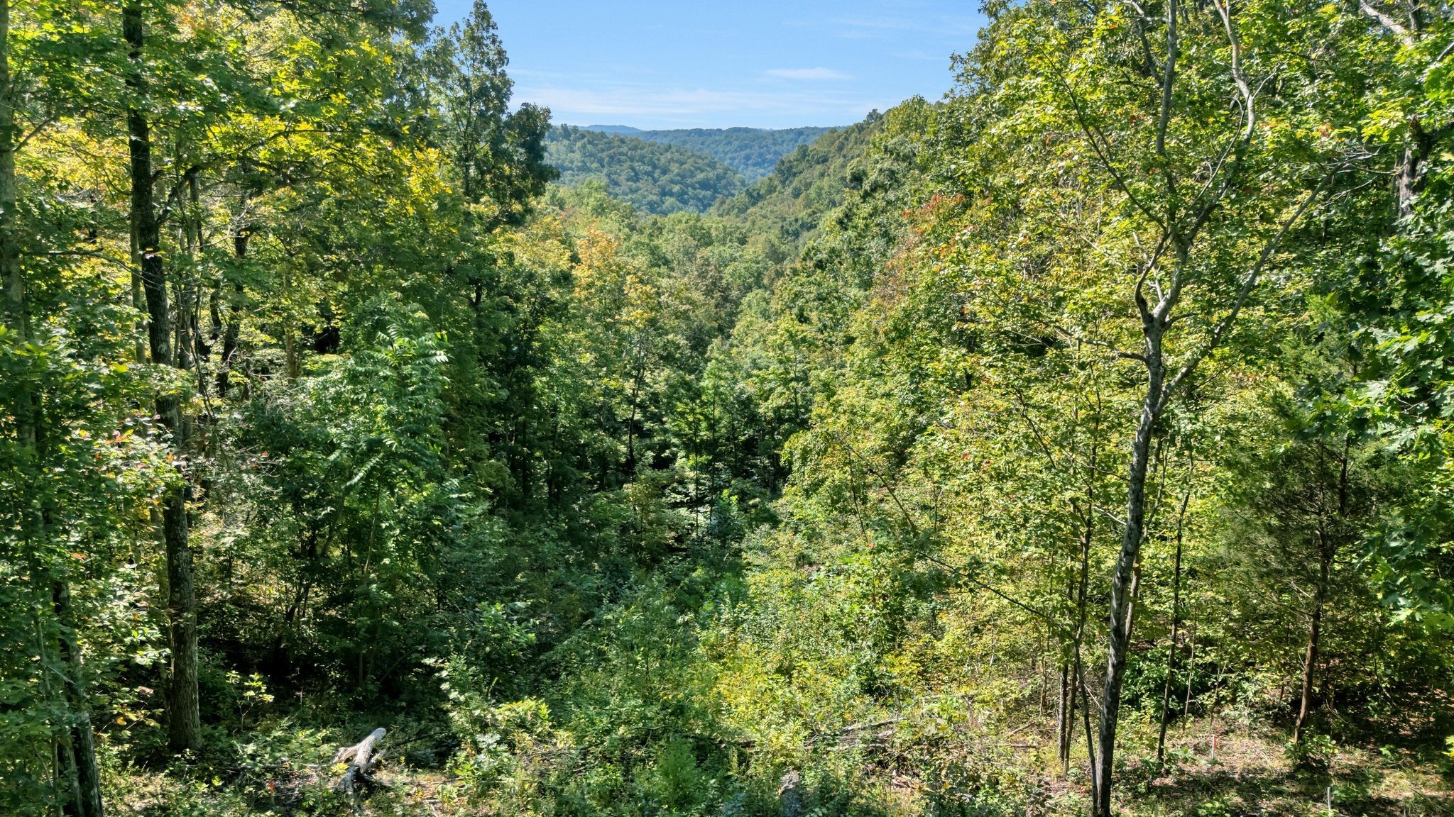 0 Wet Mill Creek Road Celina TN 38551