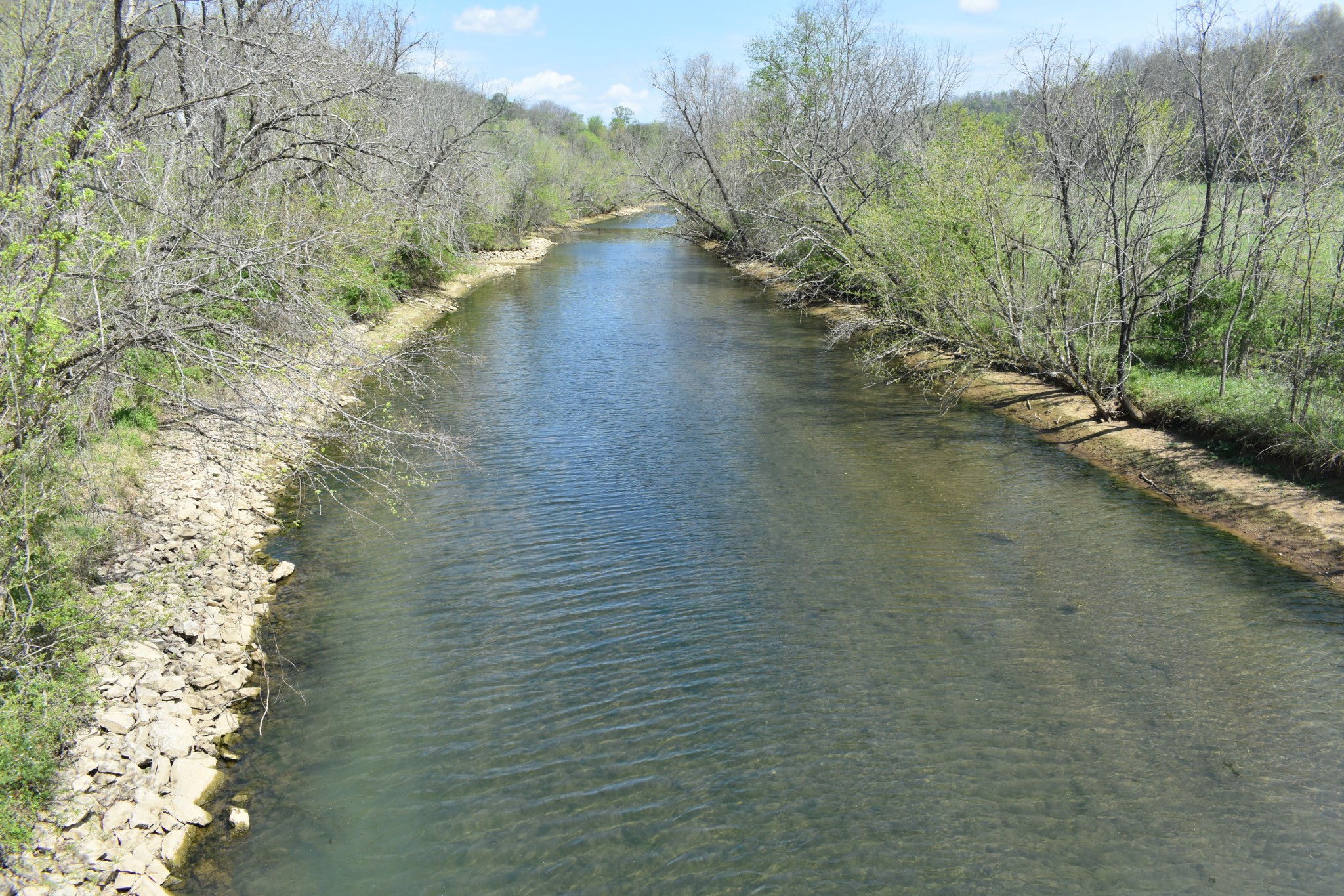115 Harris Hollow Road Pleasant Shade TN 37145