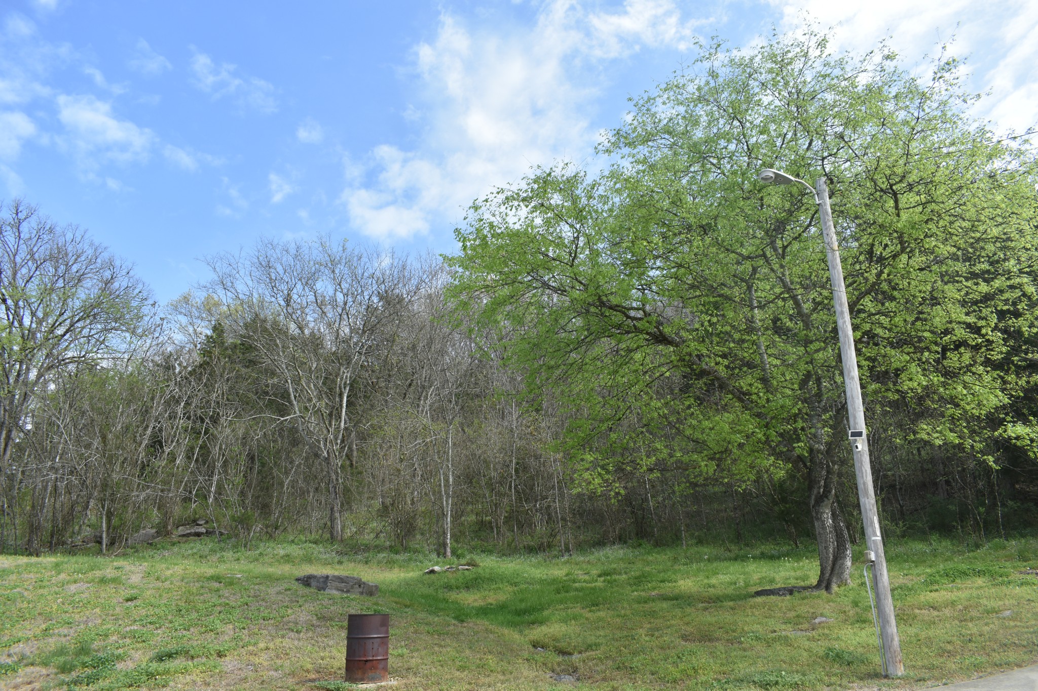 115 Harris Hollow Road Pleasant Shade TN 37145