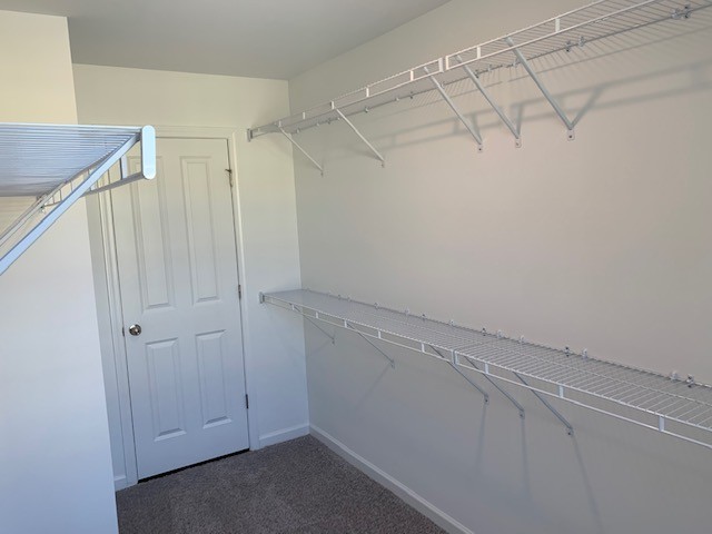 709 Finse Drive Spring Hill TN 37174