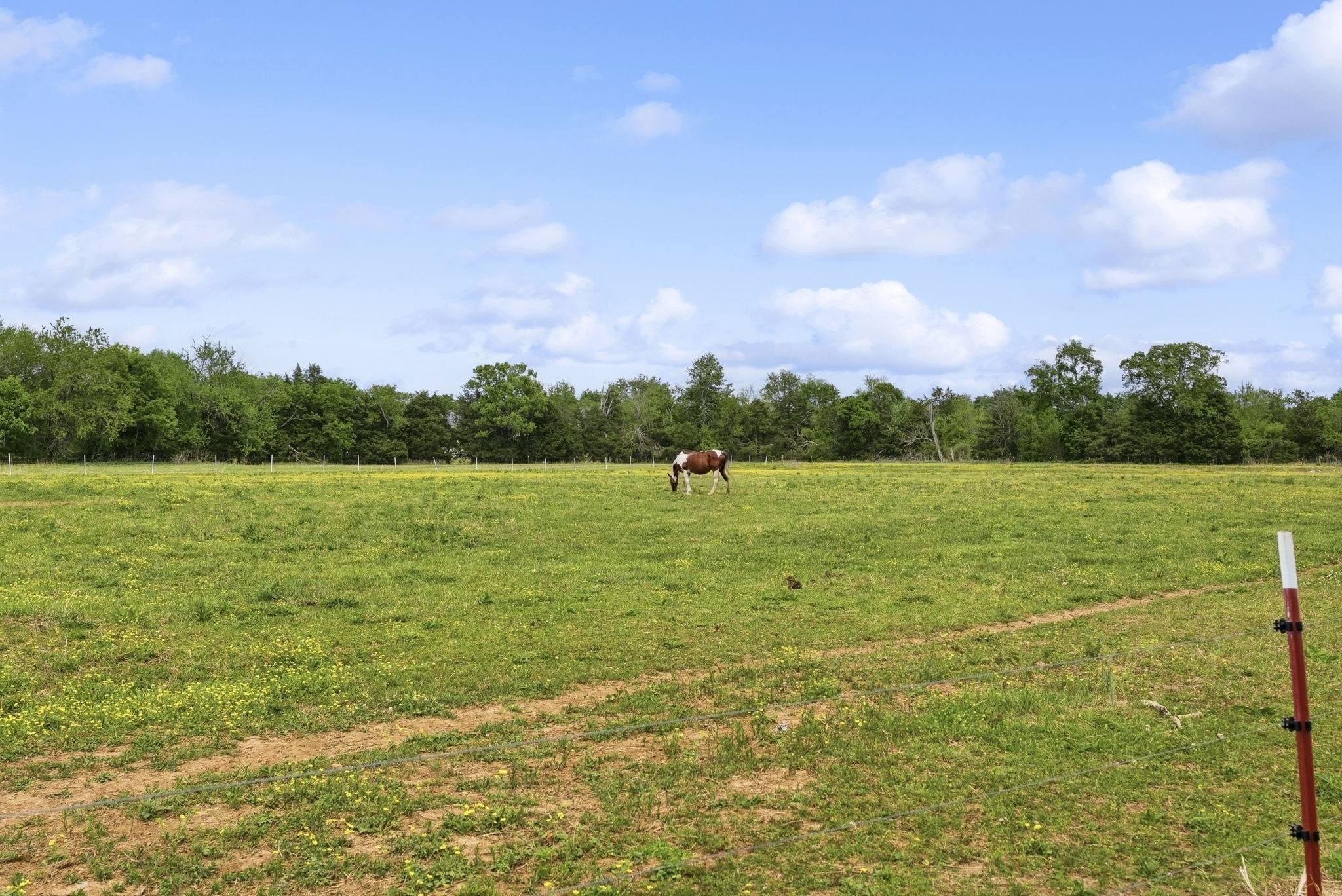 8000 Highway 269 Bell Buckle Road Christiana TN 37037