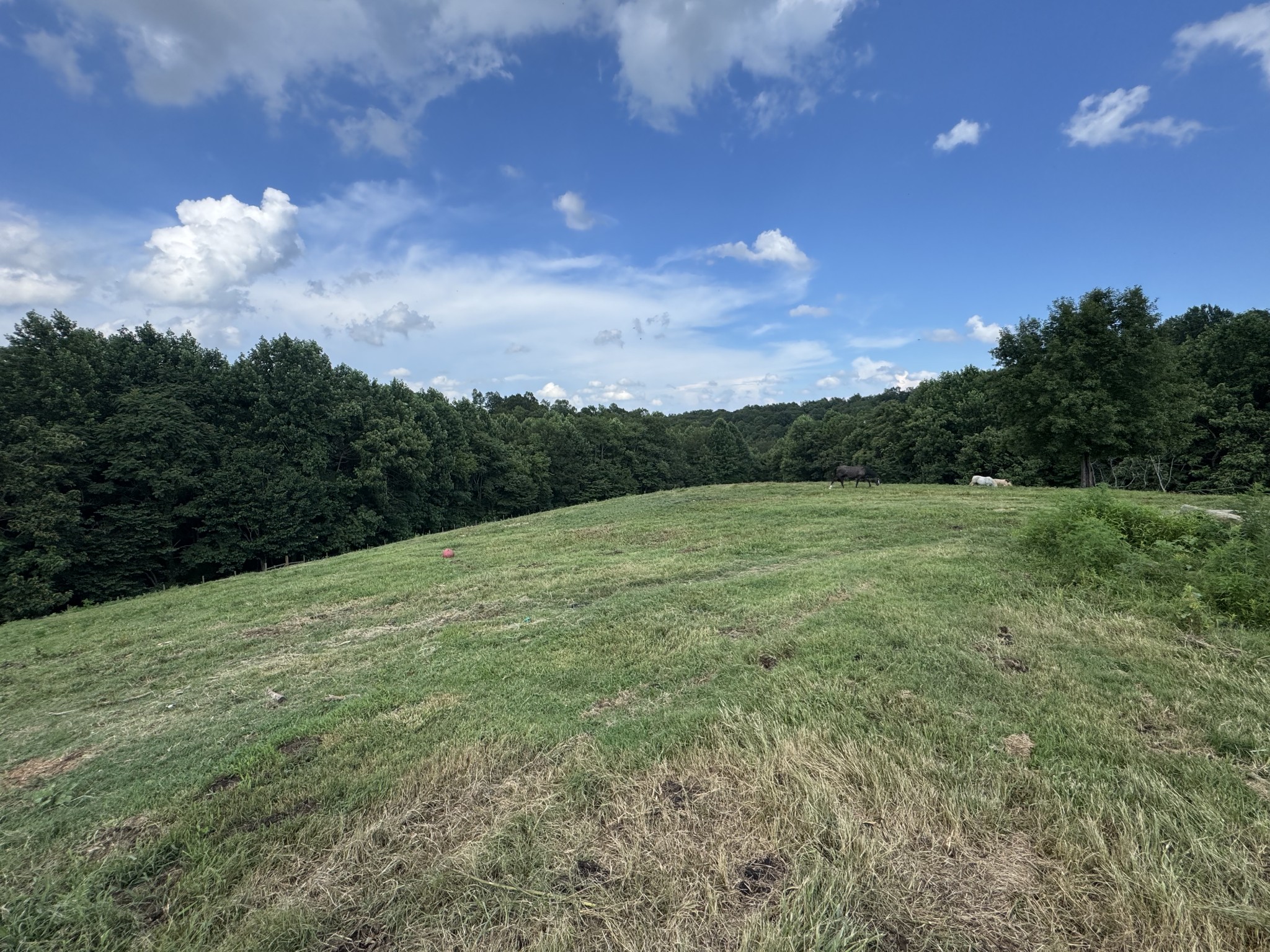 5370 Galen Road Lafayette TN 37083