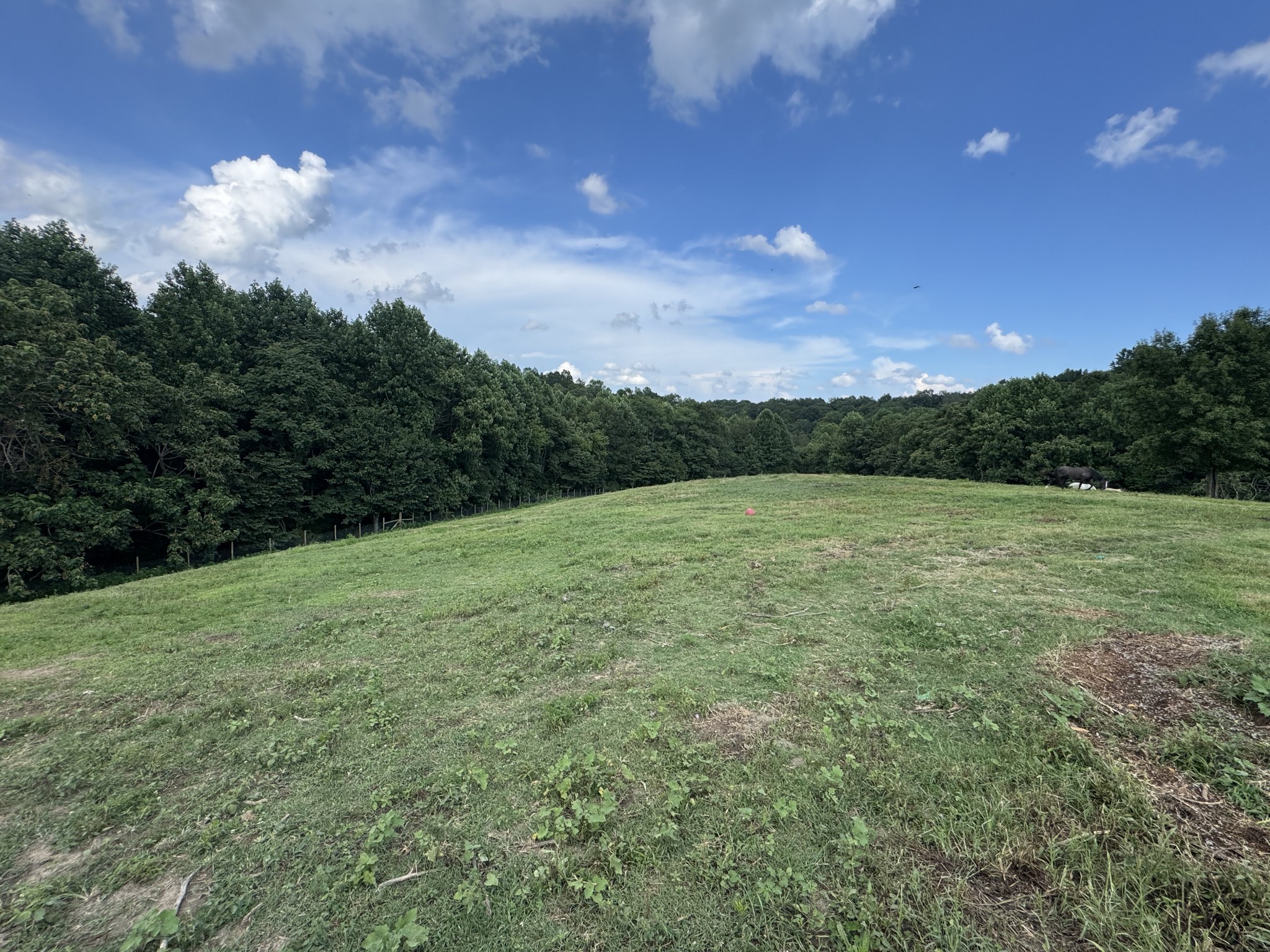 5370 Galen Road Lafayette TN 37083