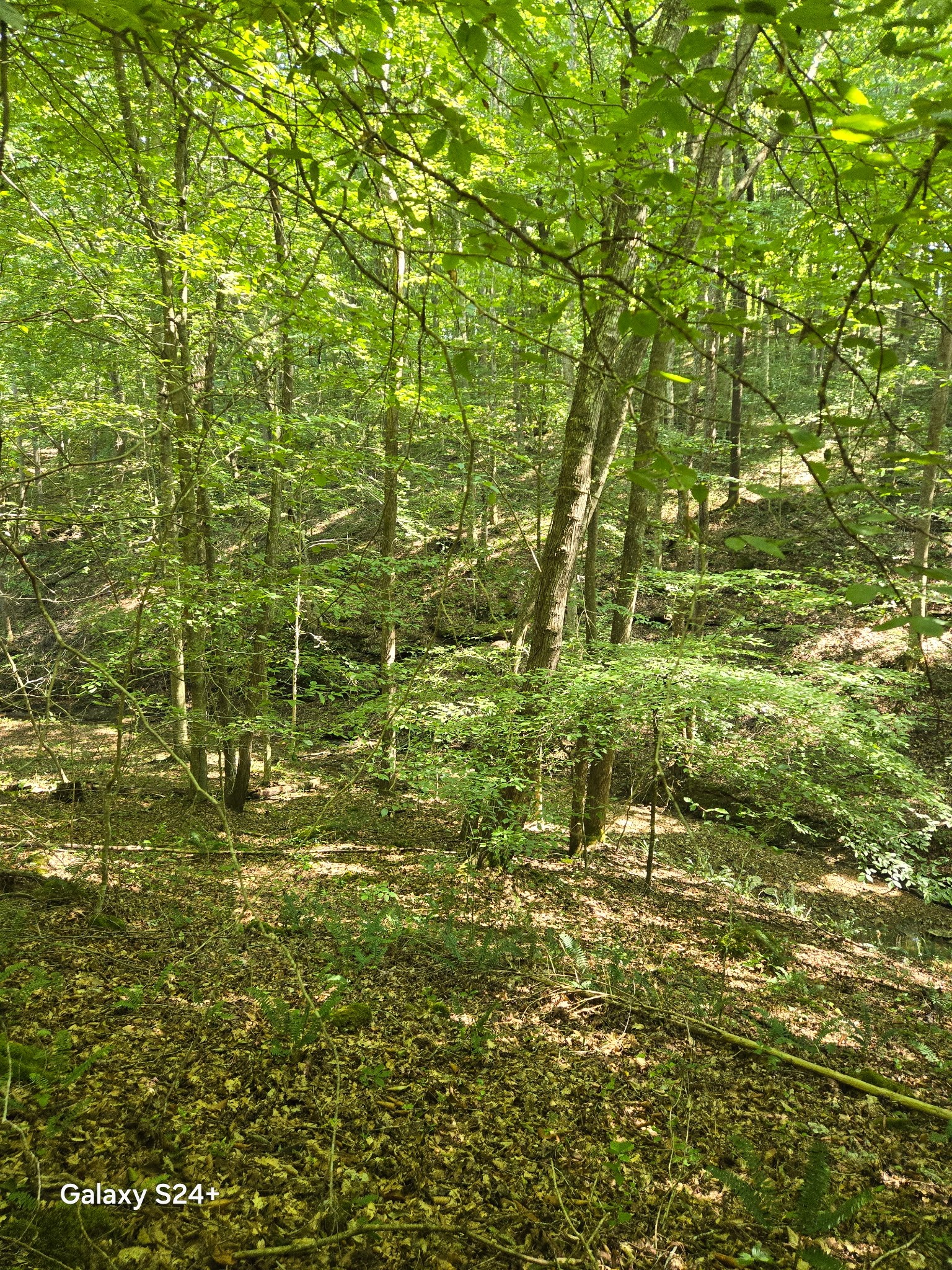 5370 Galen Road Lafayette TN 37083