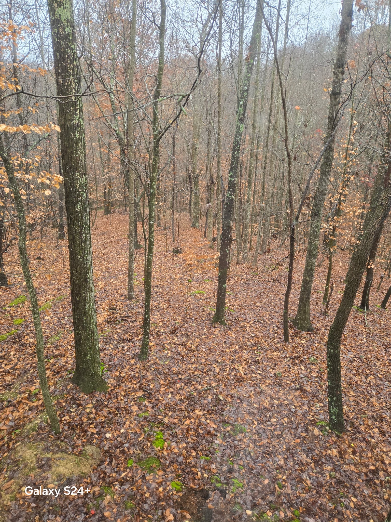 5370 Galen Road Lafayette TN 37083