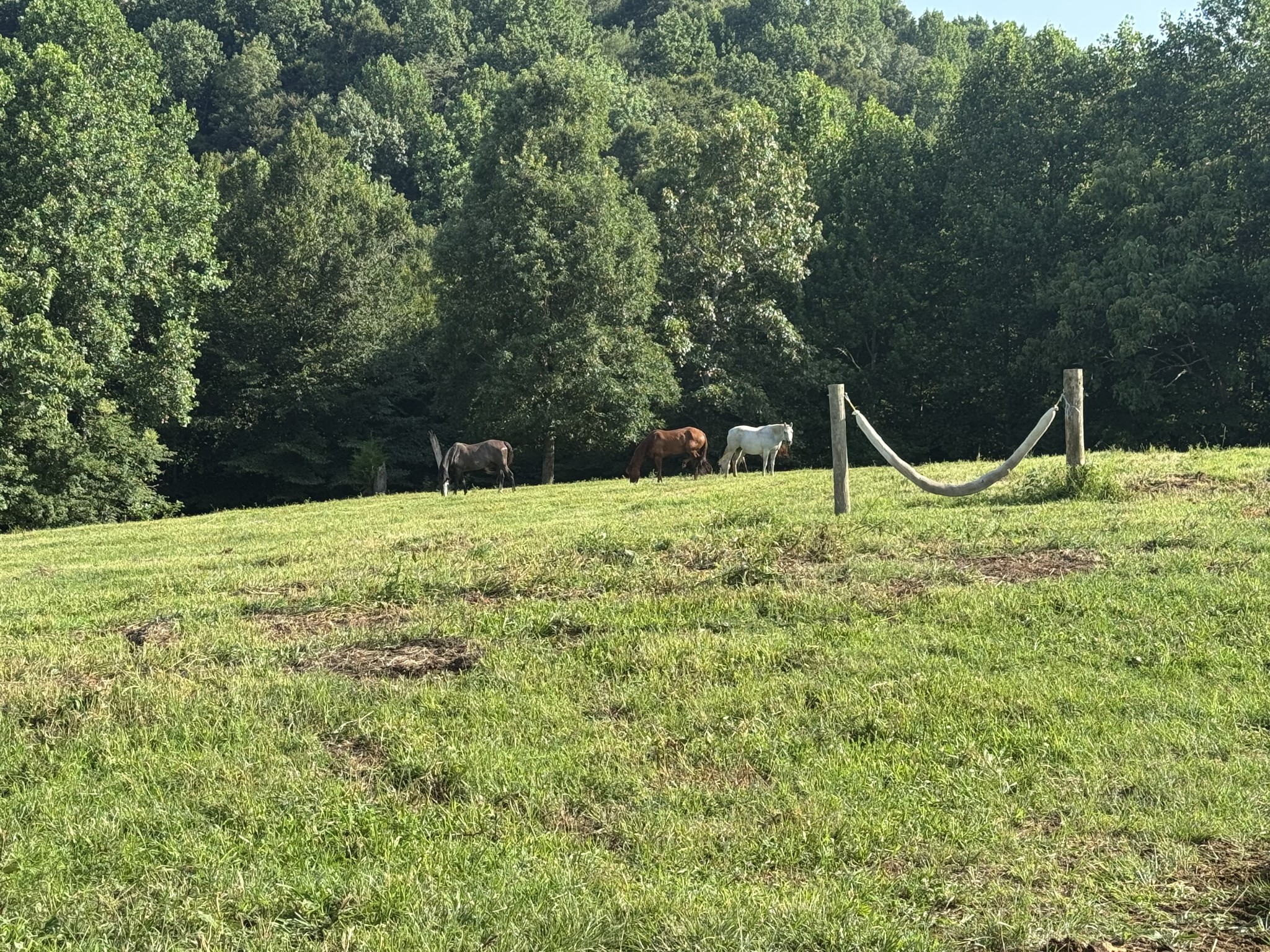 5370 Galen Road Lafayette TN 37083