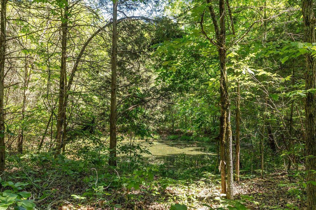 2198 Franklin Pike Lewisburg TN 37091