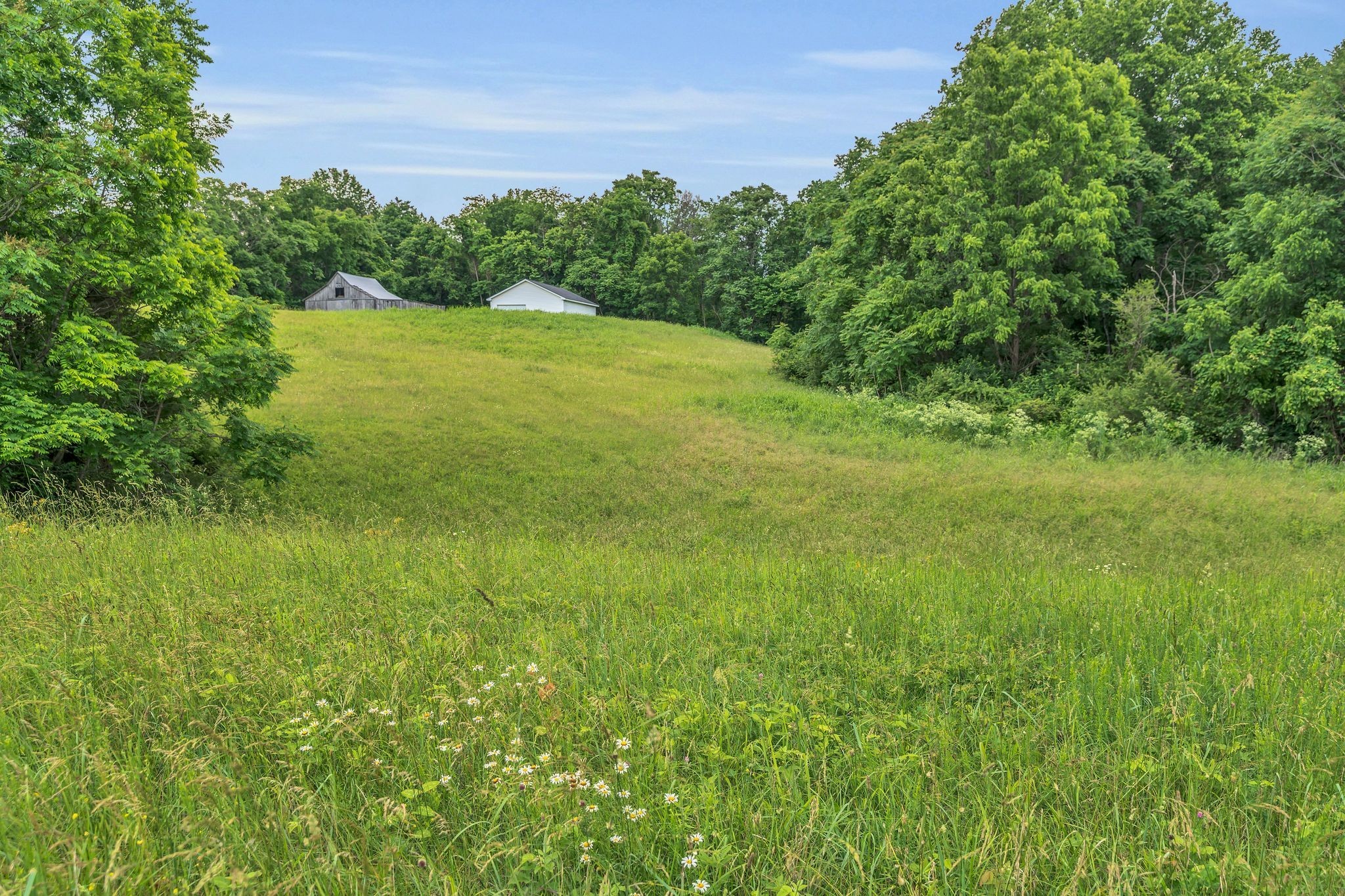 904 Weeping Willow Road Hendersonville TN 37075