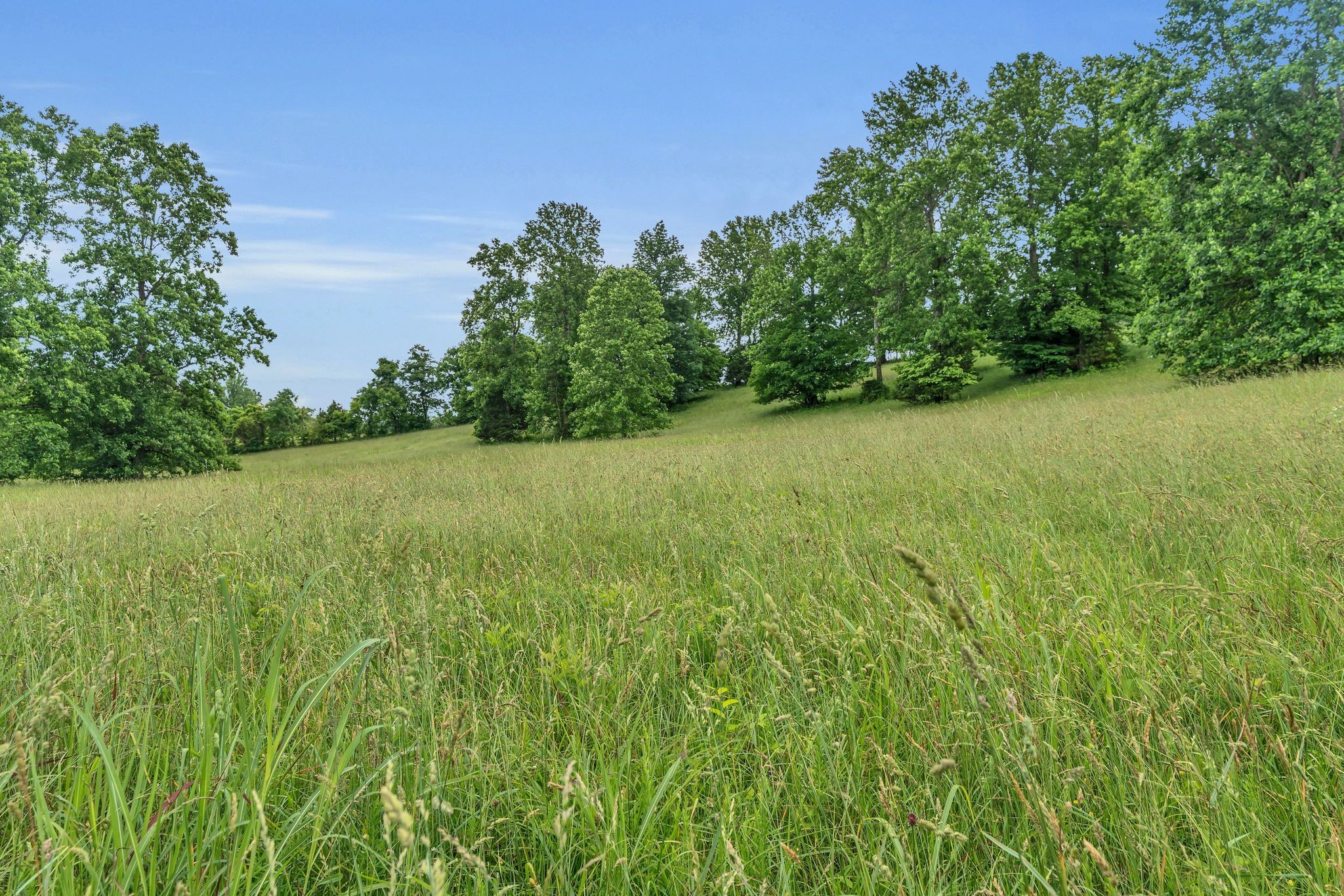 904 Weeping Willow Road Hendersonville TN 37075