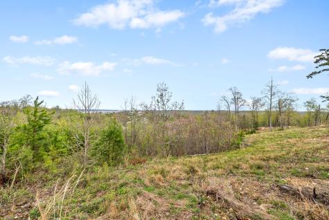 0 Float Drive Waverly TN 37185