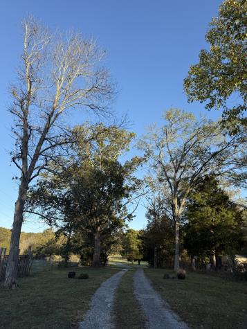2510 Highway 231, S Castalian Springs TN 37031
