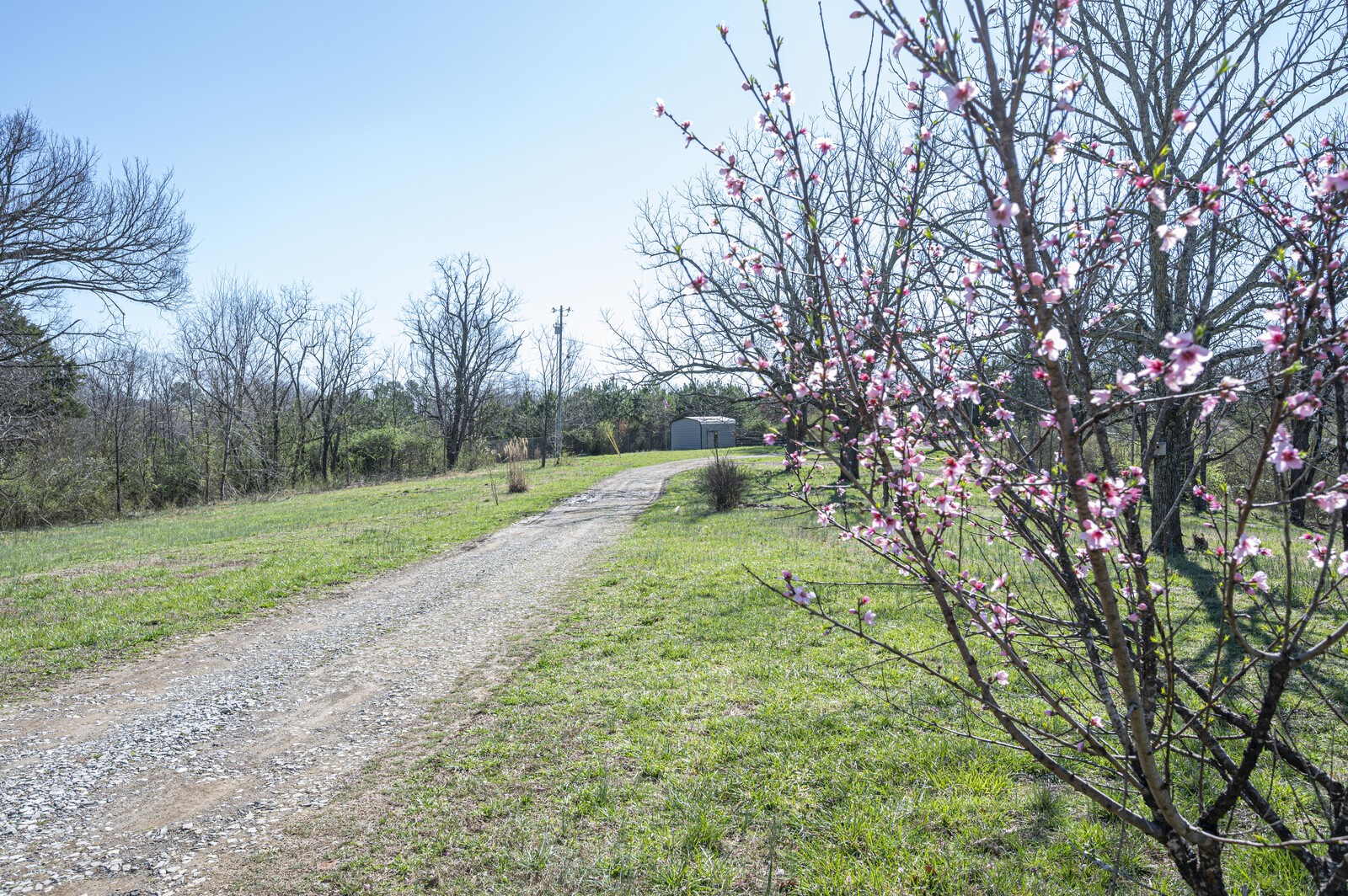5921 Beard Road Franklin TN 37064
