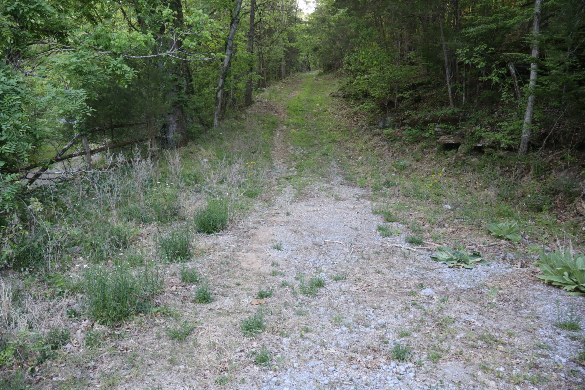 341 Pumpkin Hollow Road Liberty TN 37095