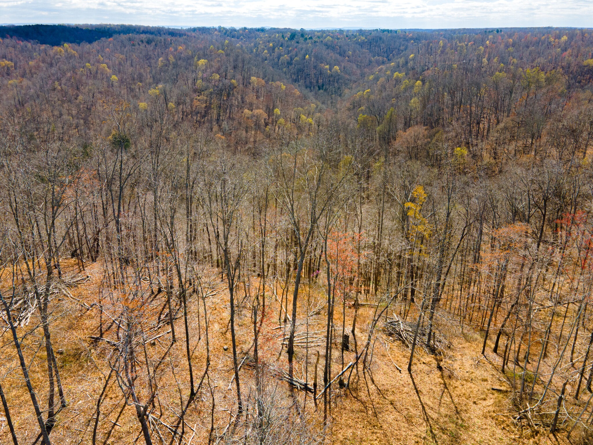 0 Peninsulas Edge Drive Smithville TN 37166