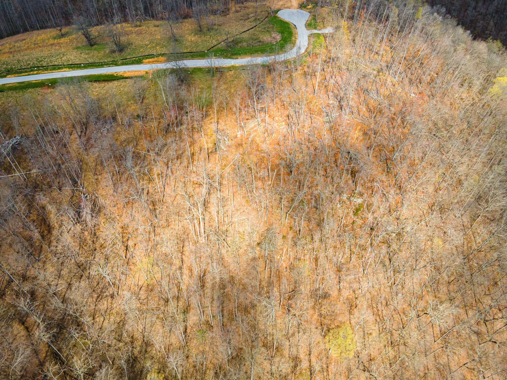 0 Peninsulas Edge Drive Smithville TN 37166
