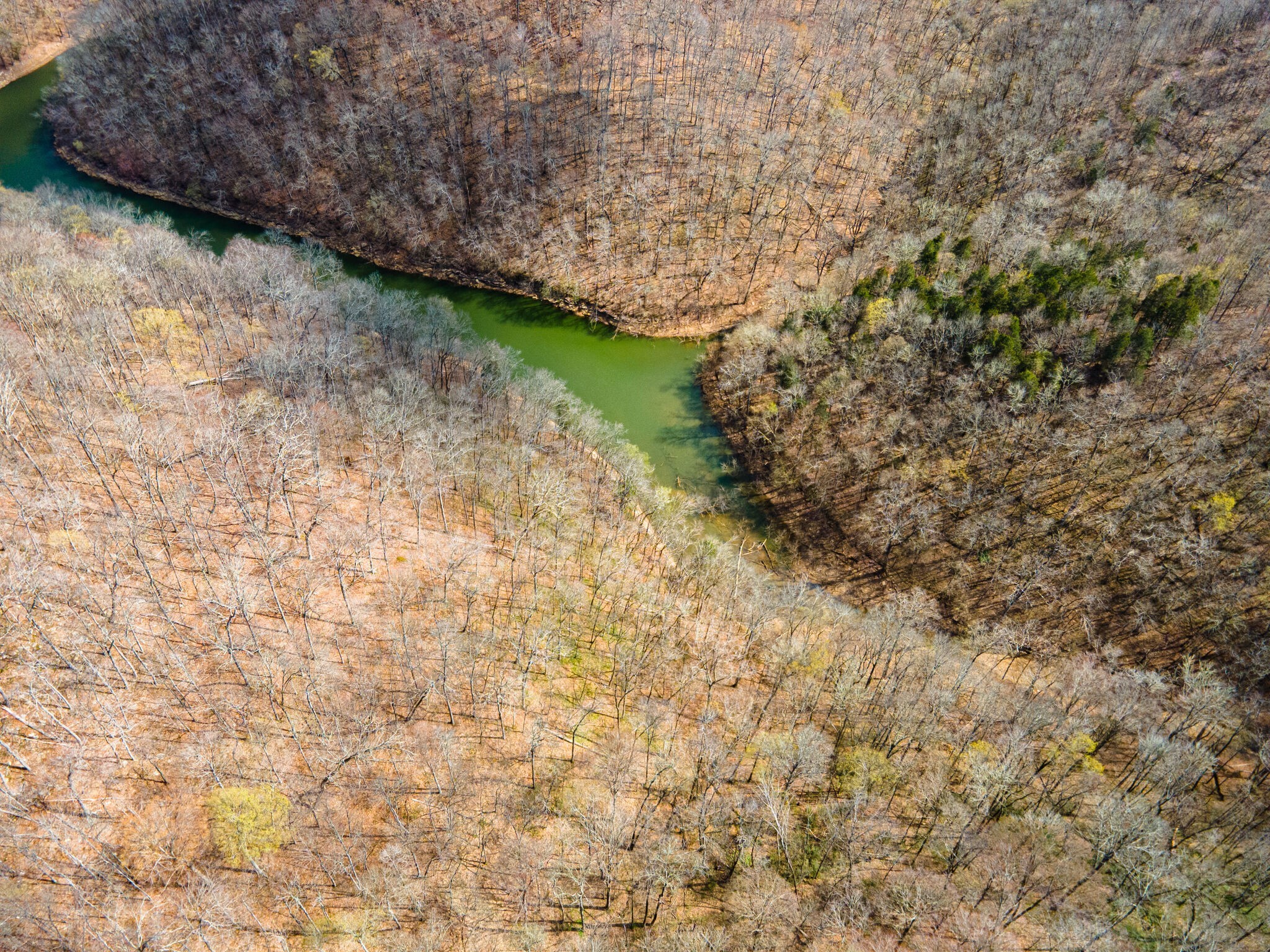 0 Peninsulas Edge Drive Smithville TN 37166