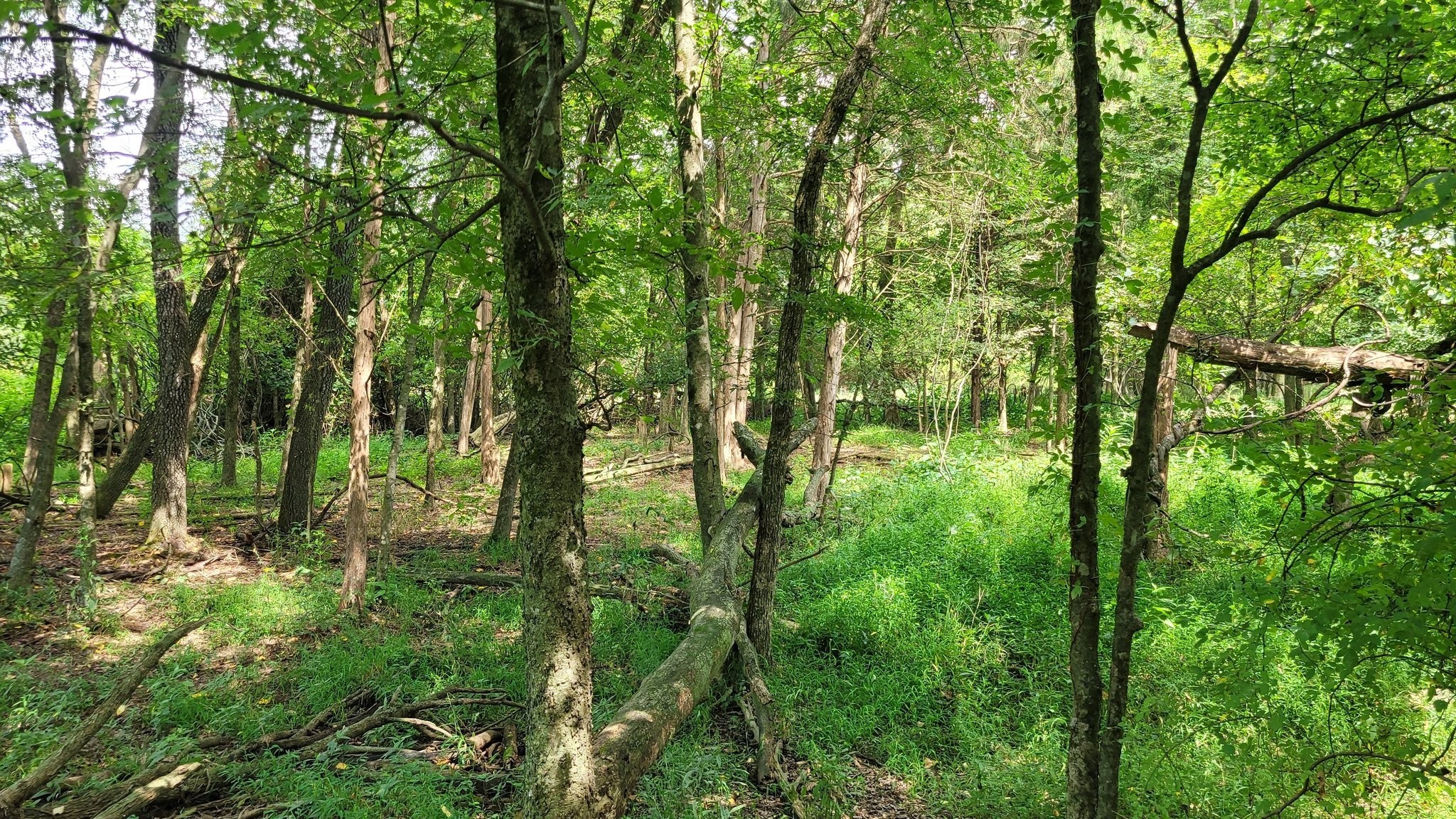 3 Knight Campground Road Shelbyville TN 37160