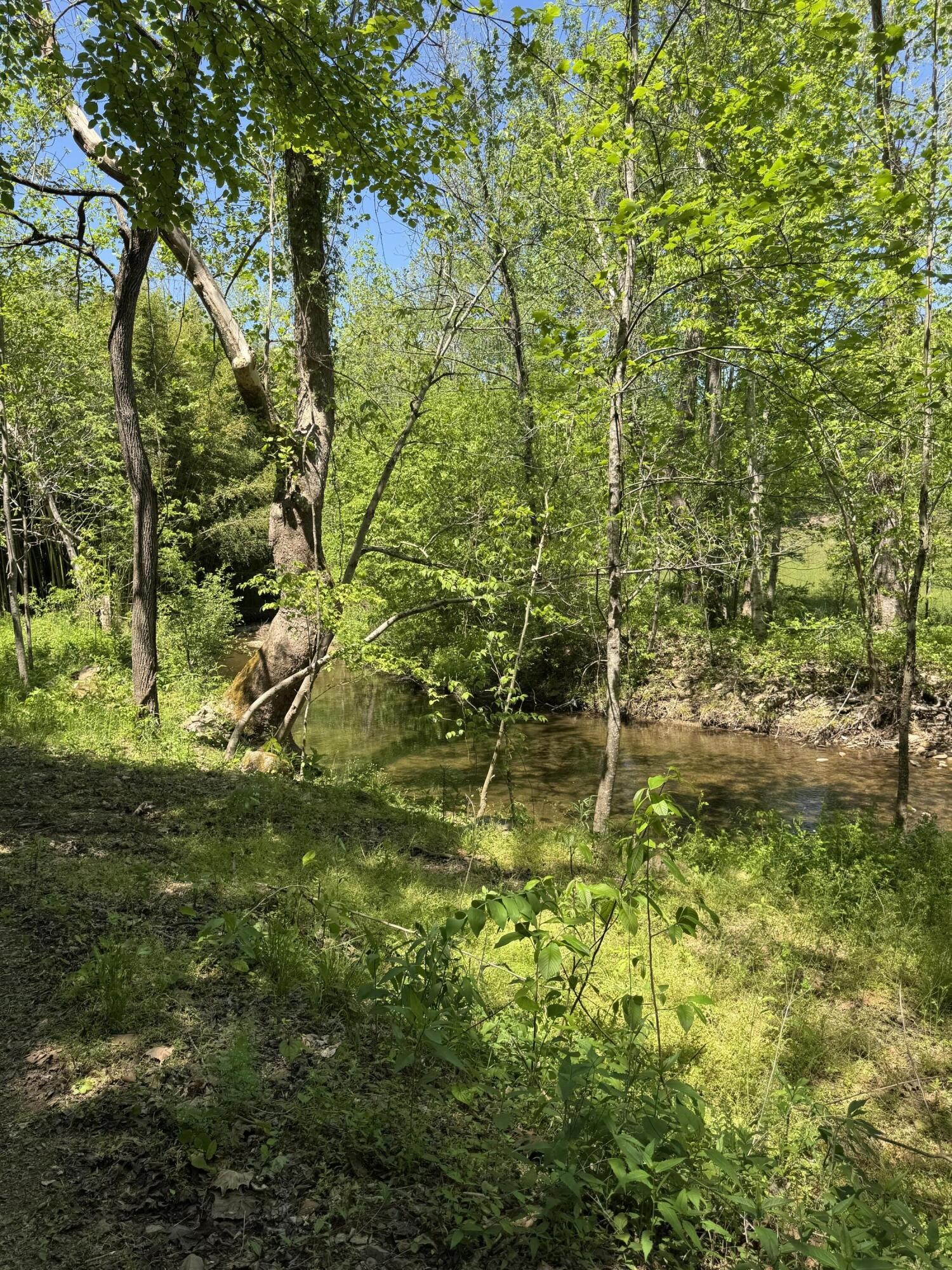 915 Chestnut Valley Road Vonore TN 37885