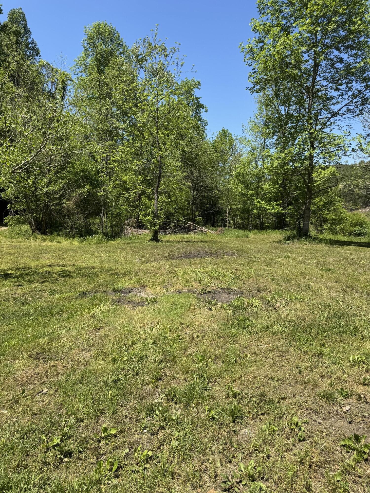 915 Chestnut Valley Road Vonore TN 37885