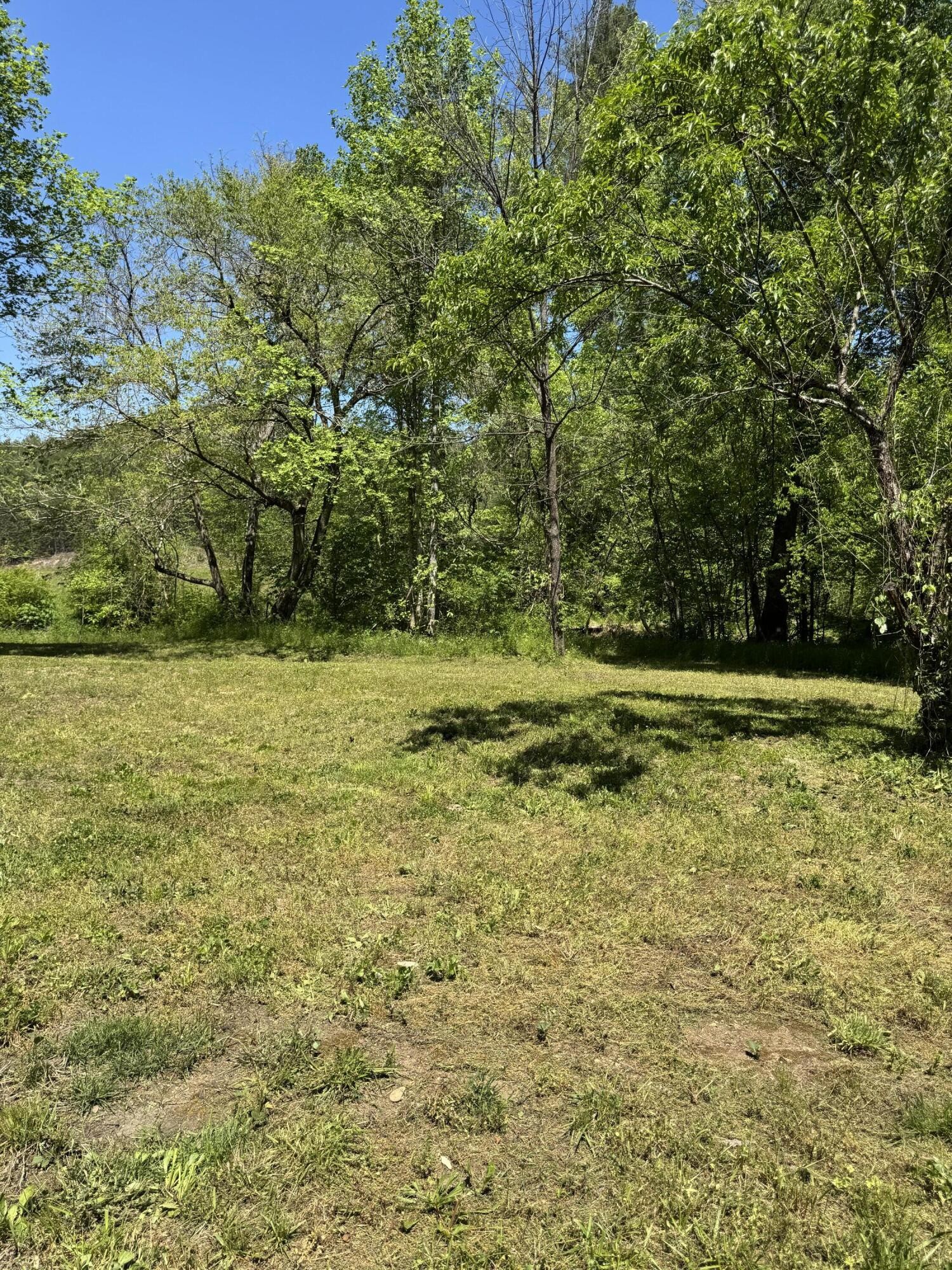 915 Chestnut Valley Road Vonore TN 37885