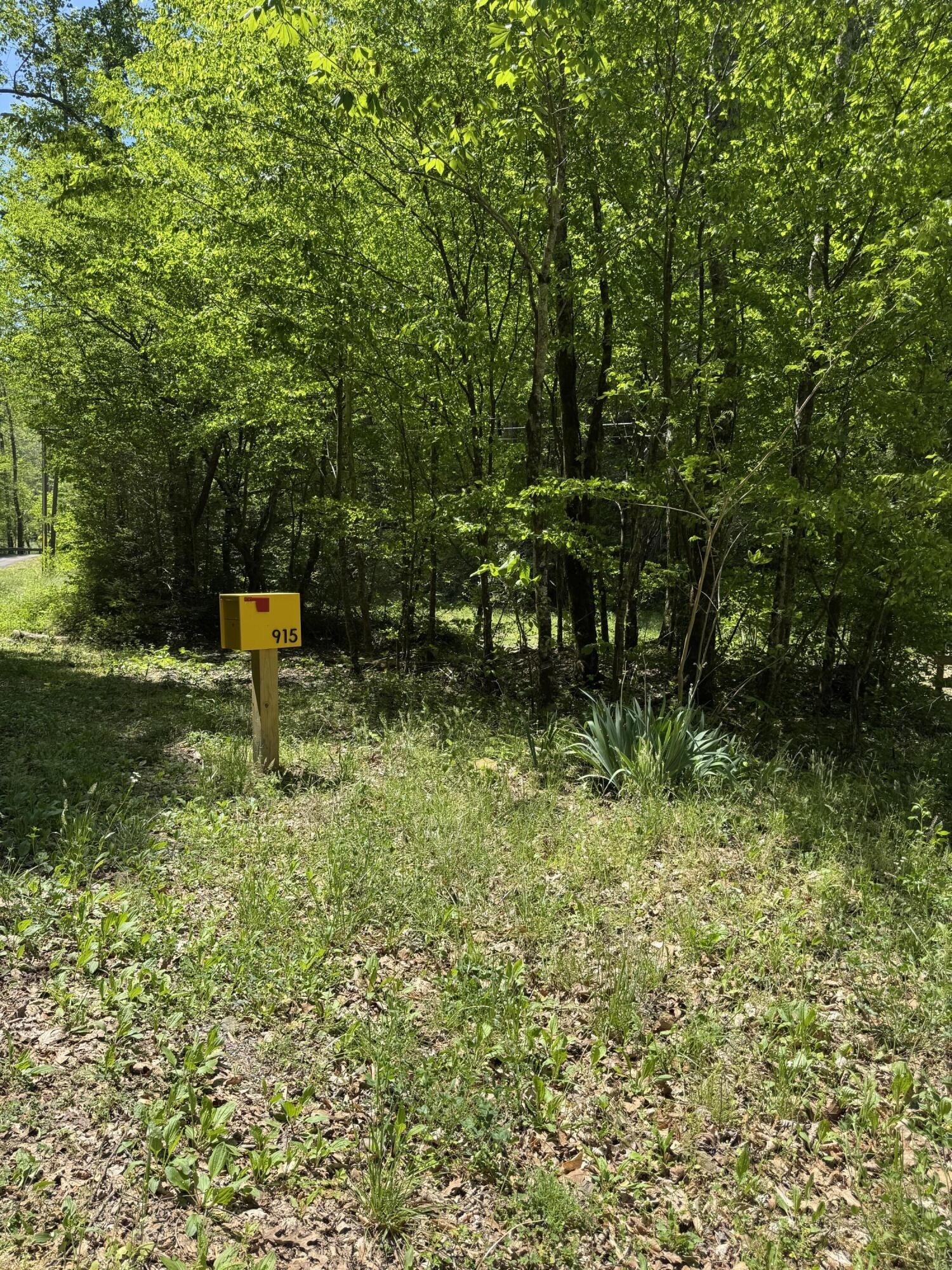 915 Chestnut Valley Road Vonore TN 37885