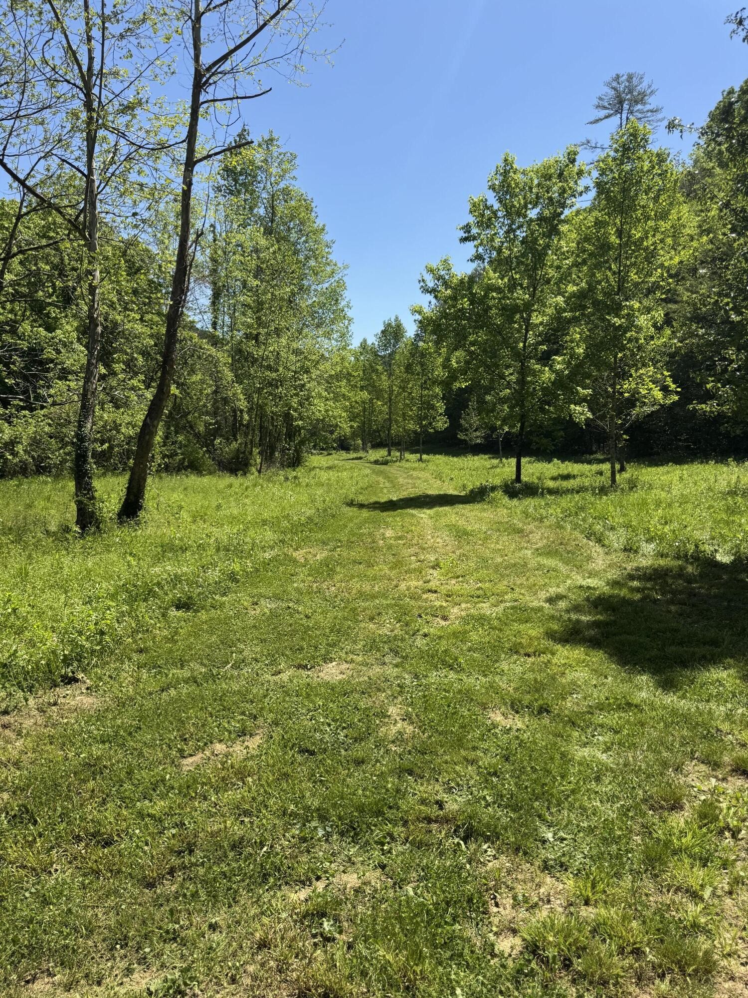 915 Chestnut Valley Road Vonore TN 37885