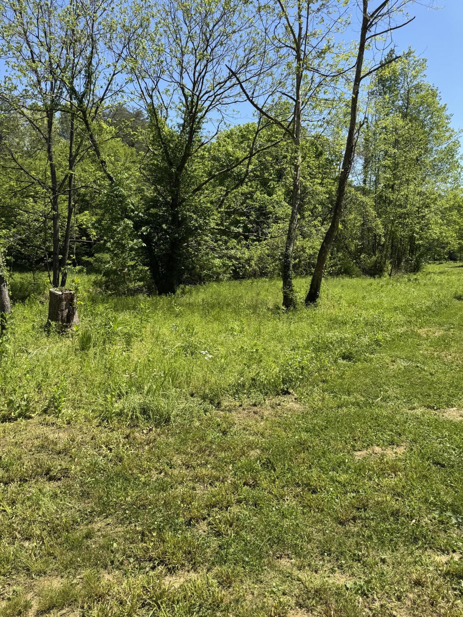 915 Chestnut Valley Road Vonore TN 37885