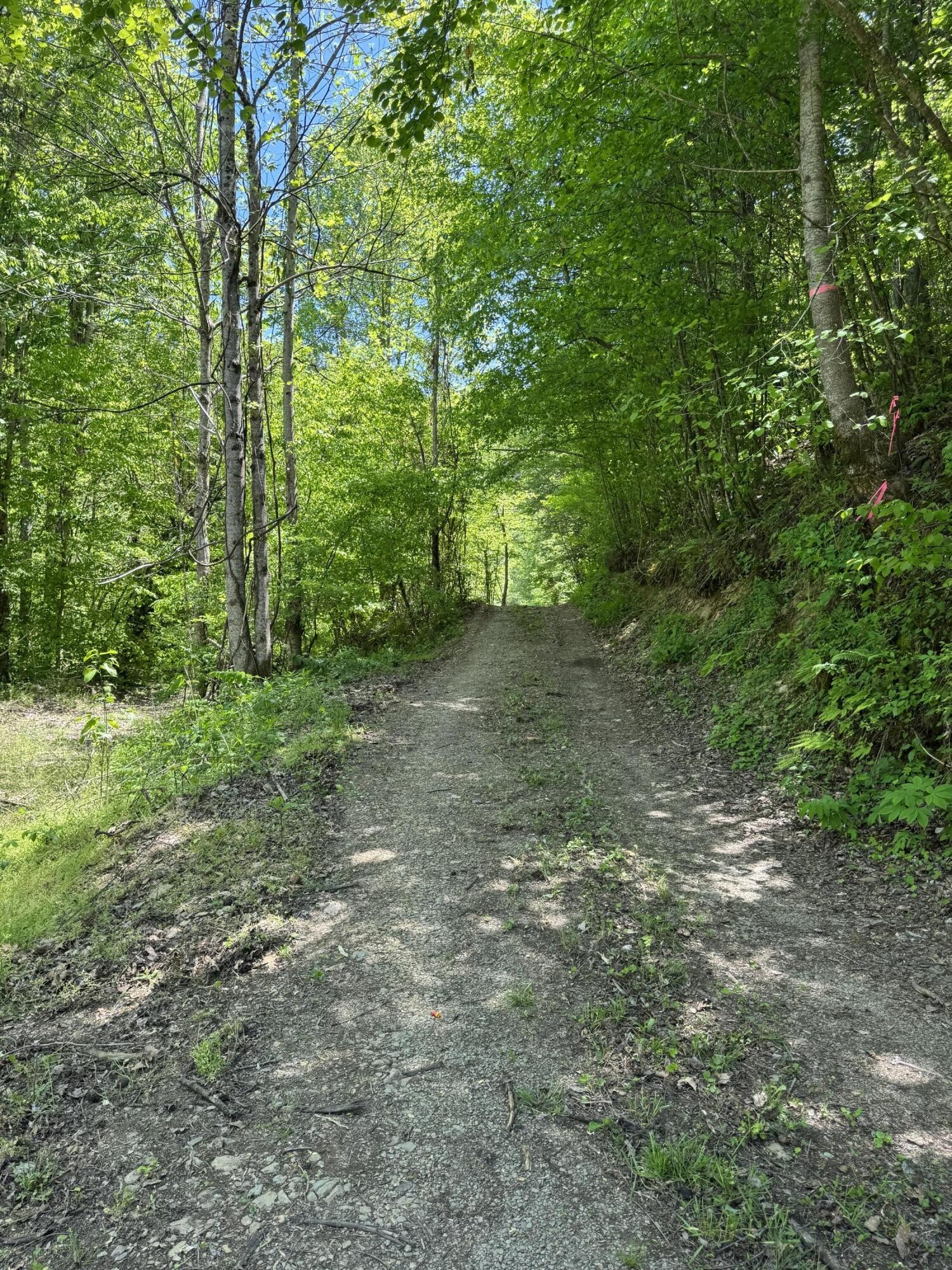 915 Chestnut Valley Road Vonore TN 37885