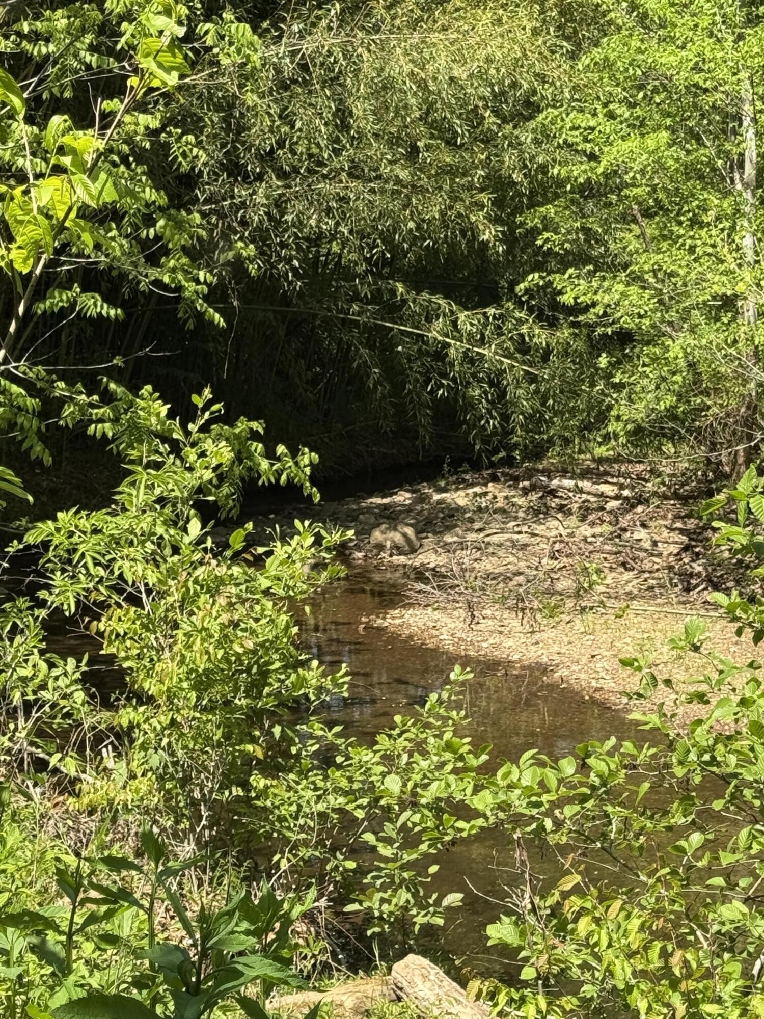 915 Chestnut Valley Road Vonore TN 37885