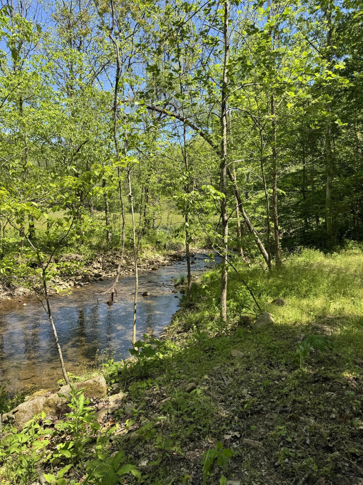 915 Chestnut Valley Road Vonore TN 37885