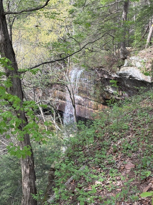 0 Star, N Sparta TN 38583