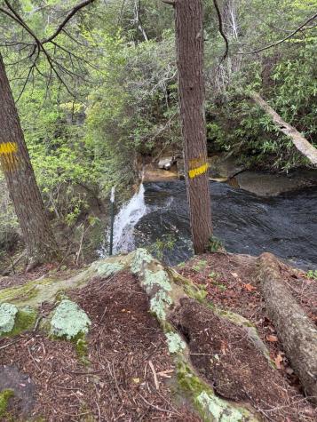 0 Star, N Sparta TN 38583