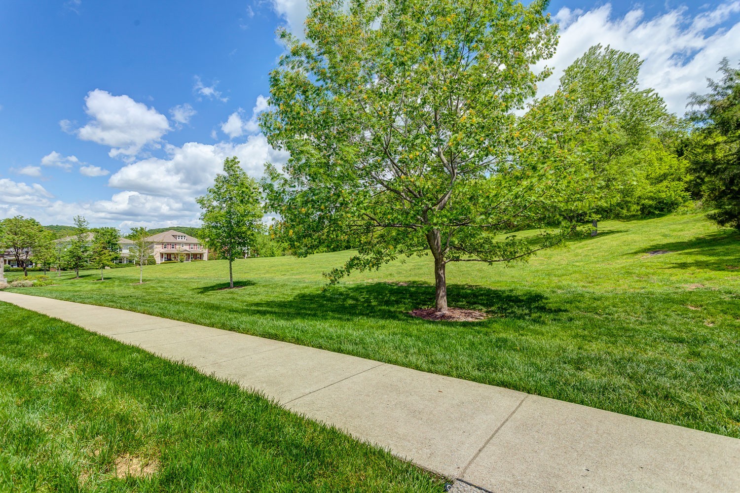 1025 Park Run Drive Franklin TN 37067