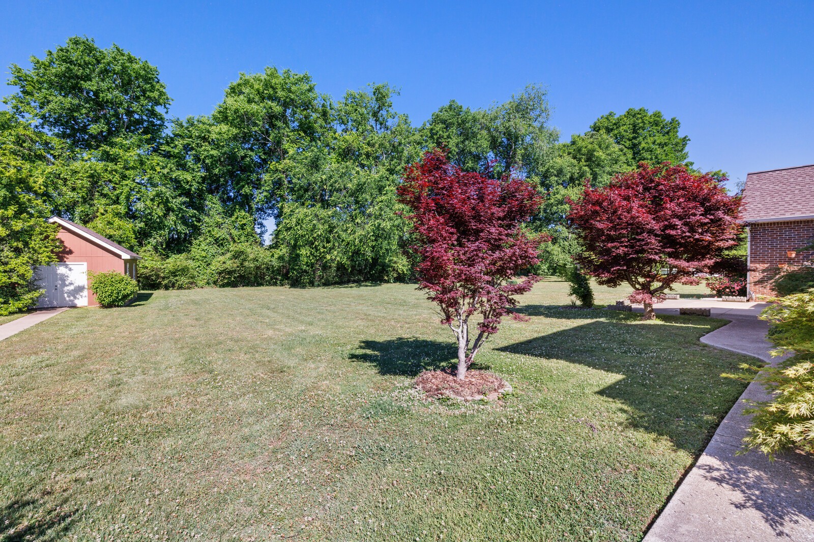 323 Winter Way Murfreesboro TN 37129